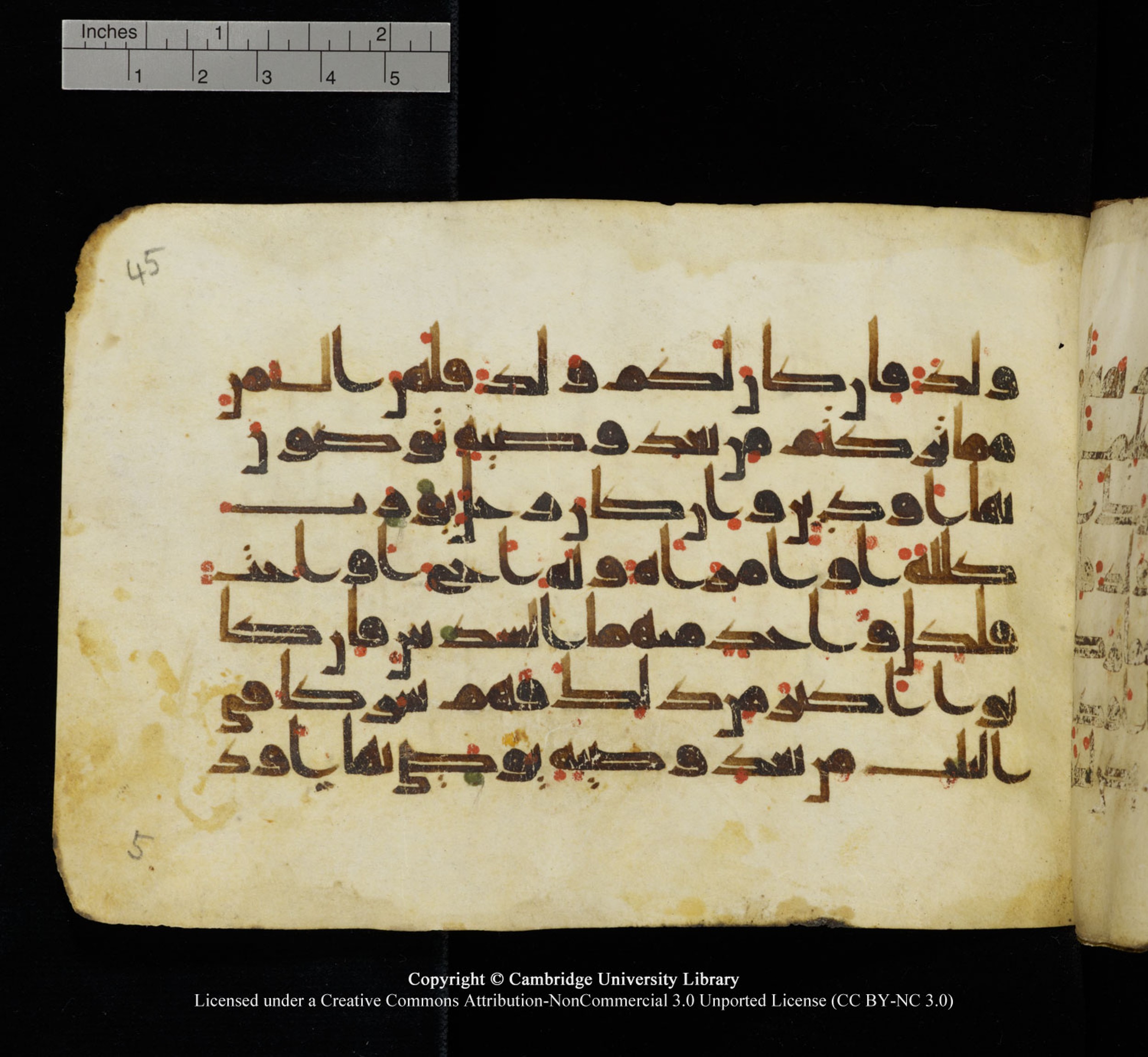 Cambridge University Library, MS Add.1115 (Scan 2), in kūfī D Va script, showing Surah 4:12 from 9th or 10th Century AD found in Sinai Peninsula, currently housed at Cambridge University Library, Cambridge