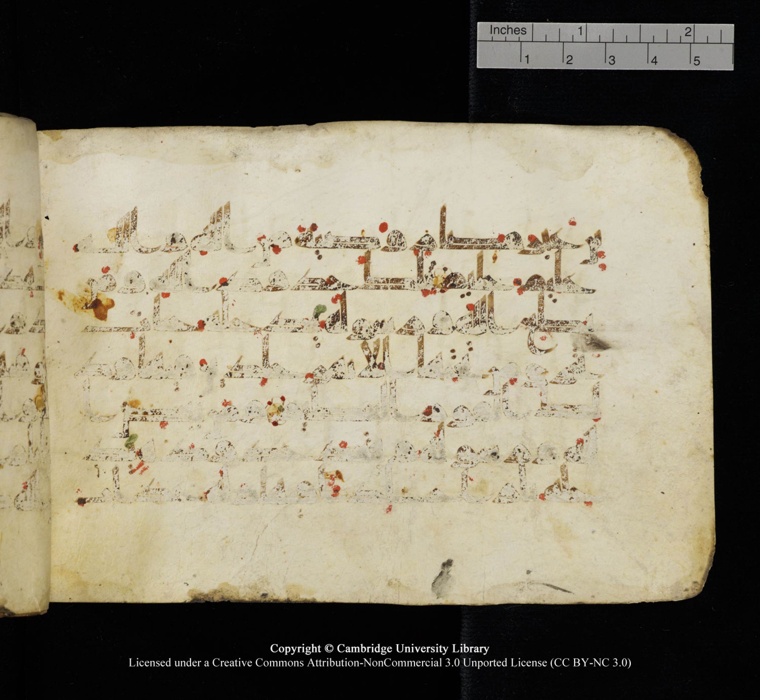 Cambridge University Library, MS Add.1115 (Scan 3), in kūfī D Va script, showing Surah 4:12 from 9th or 10th Century AD found in Sinai Peninsula, currently housed at Cambridge University Library, Cambridge
