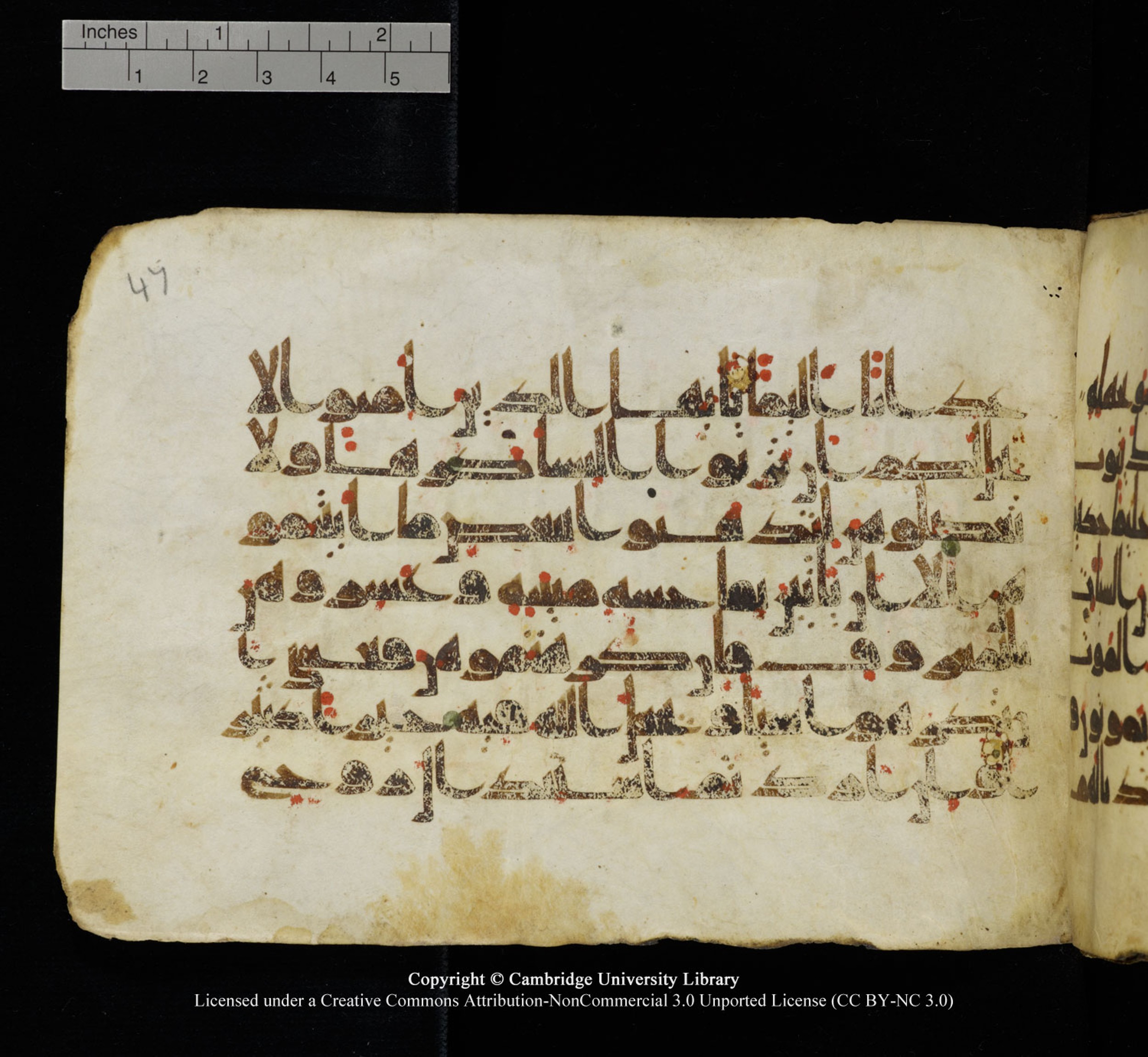 Cambridge University Library, MS Add.1115 (Scan 1), in kūfī D Va script, showing Surah 4:20 from 9th or 10th Century AD found in Sinai Peninsula, currently housed at Cambridge University Library, Cambridge