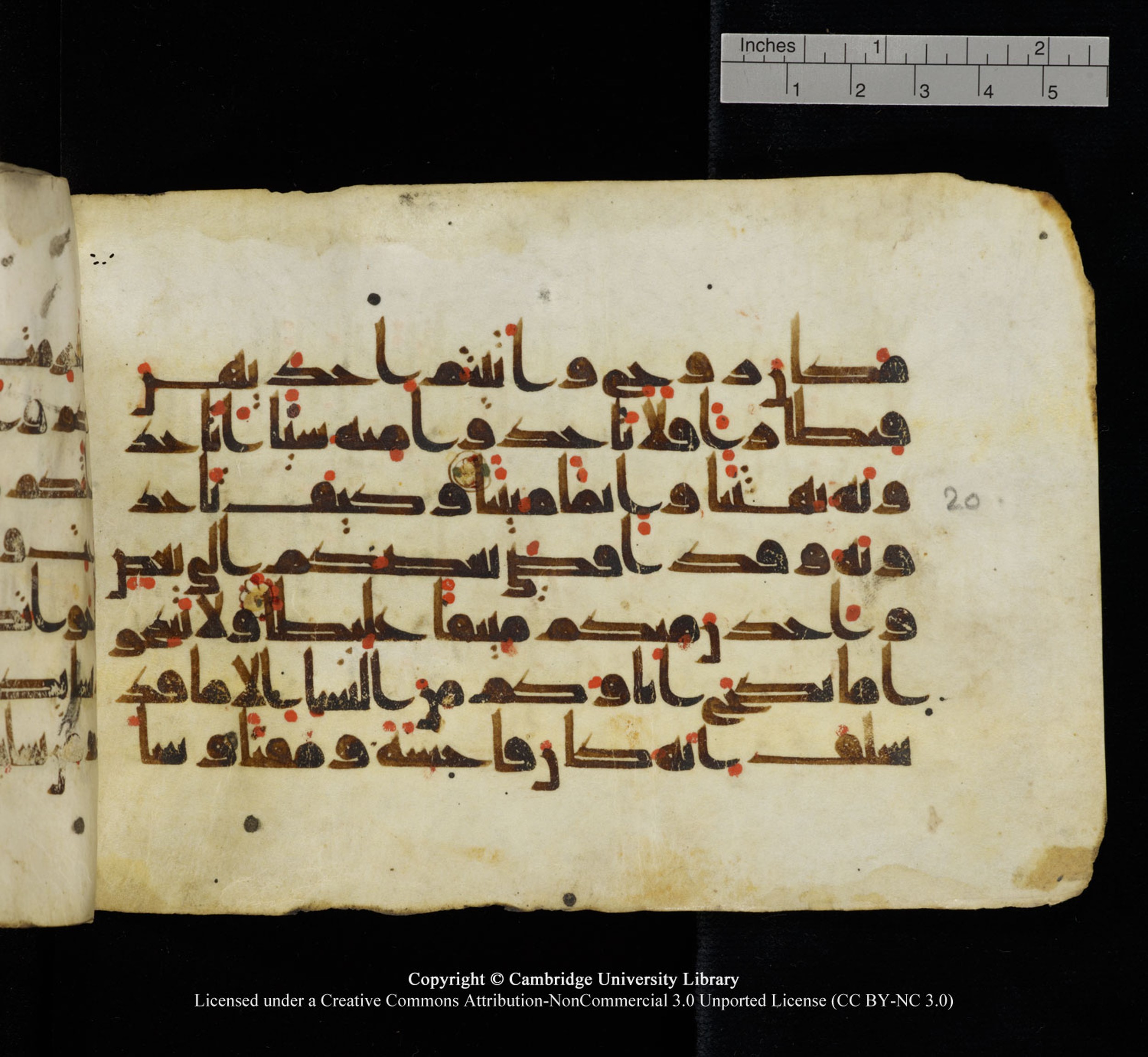 Cambridge University Library, MS Add.1115, in kūfī D Va script, showing Surah 4:21 from 9th or 10th Century AD found in Sinai Peninsula, currently housed at Cambridge University Library, Cambridge
