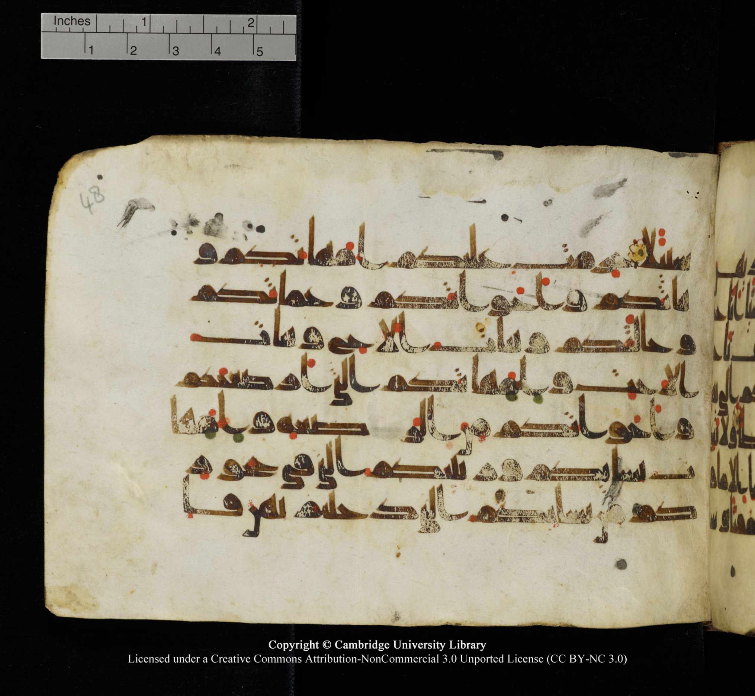 Cambridge University Library, MS Add.1115 (Scan 2), in kūfī D Va script, showing Surah 4:22 from 9th or 10th Century AD found in Sinai Peninsula, currently housed at Cambridge University Library, Cambridge