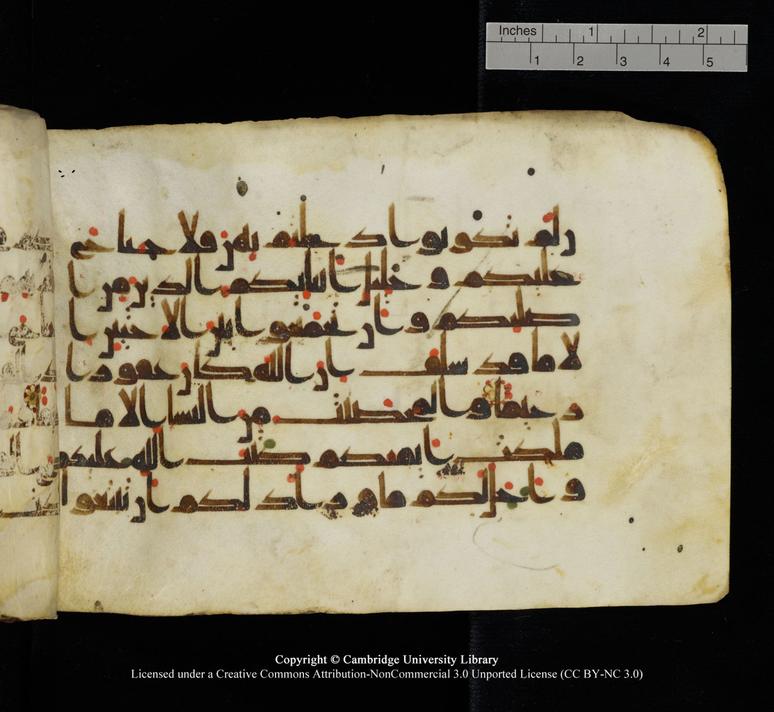 Cambridge University Library, MS Add.1115 (Scan 1), in kūfī D Va script, showing Surah 4:24 from 9th or 10th Century AD found in Sinai Peninsula, currently housed at Cambridge University Library, Cambridge