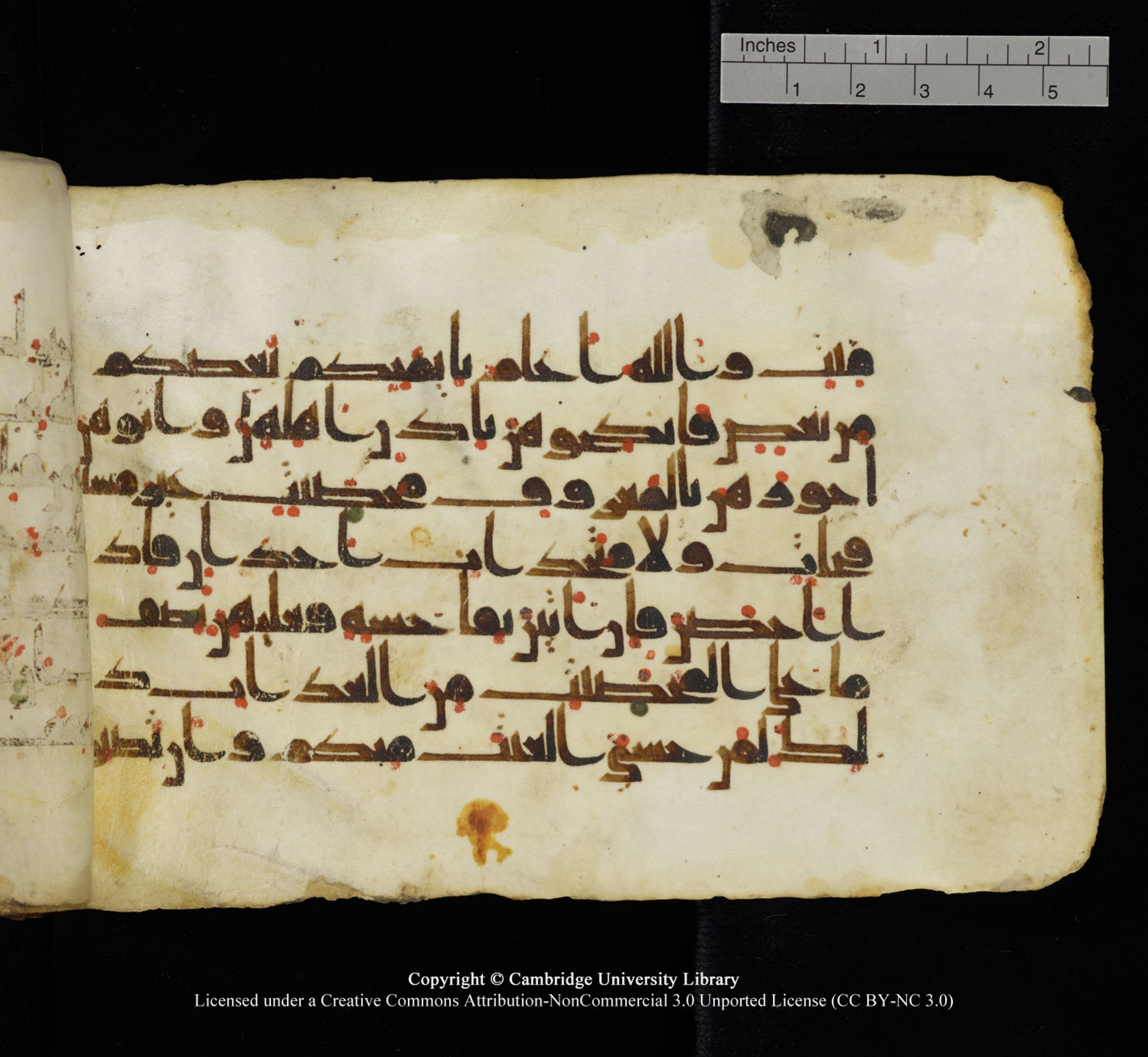 Cambridge University Library, MS Add.1115 (Scan 2), in kūfī D Va script, showing Surah 4:25 from 9th or 10th Century AD found in Sinai Peninsula, currently housed at Cambridge University Library, Cambridge