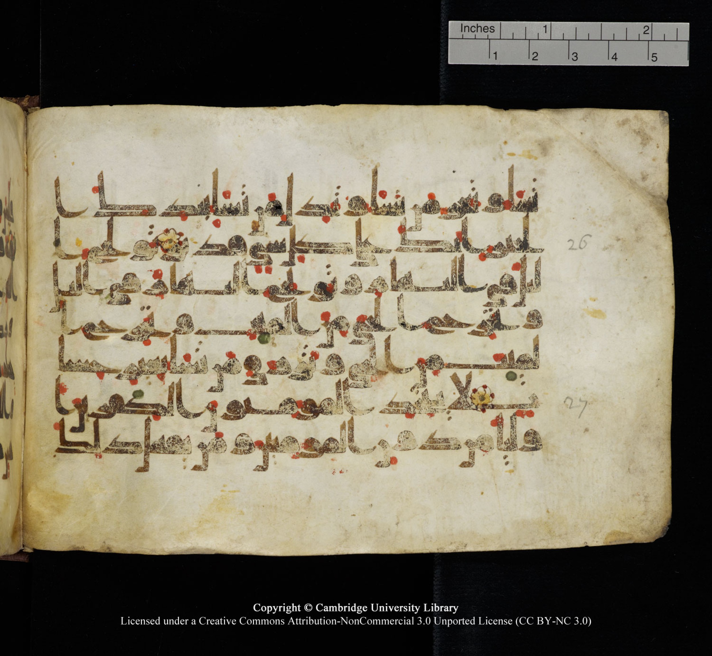 Cambridge University Library, MS Add.1115, in kūfī D Va script, showing Surah 3:27 from 9th or 10th Century AD found in Sinai Peninsula, currently housed at Cambridge University Library, Cambridge