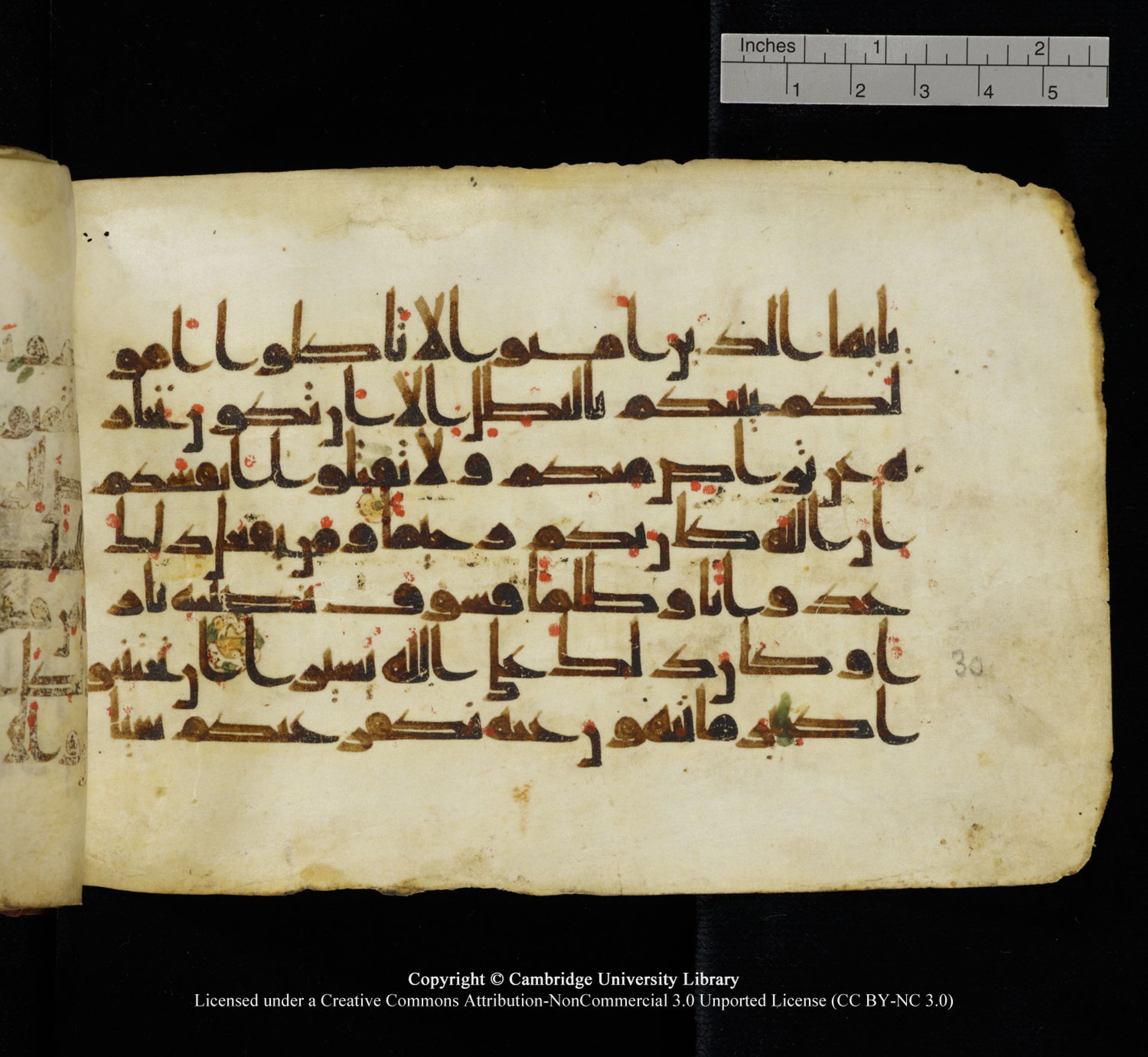 Cambridge University Library, MS Add.1115, in kūfī D Va script, showing Surah 4:29 from 9th or 10th Century AD found in Sinai Peninsula, currently housed at Cambridge University Library, Cambridge