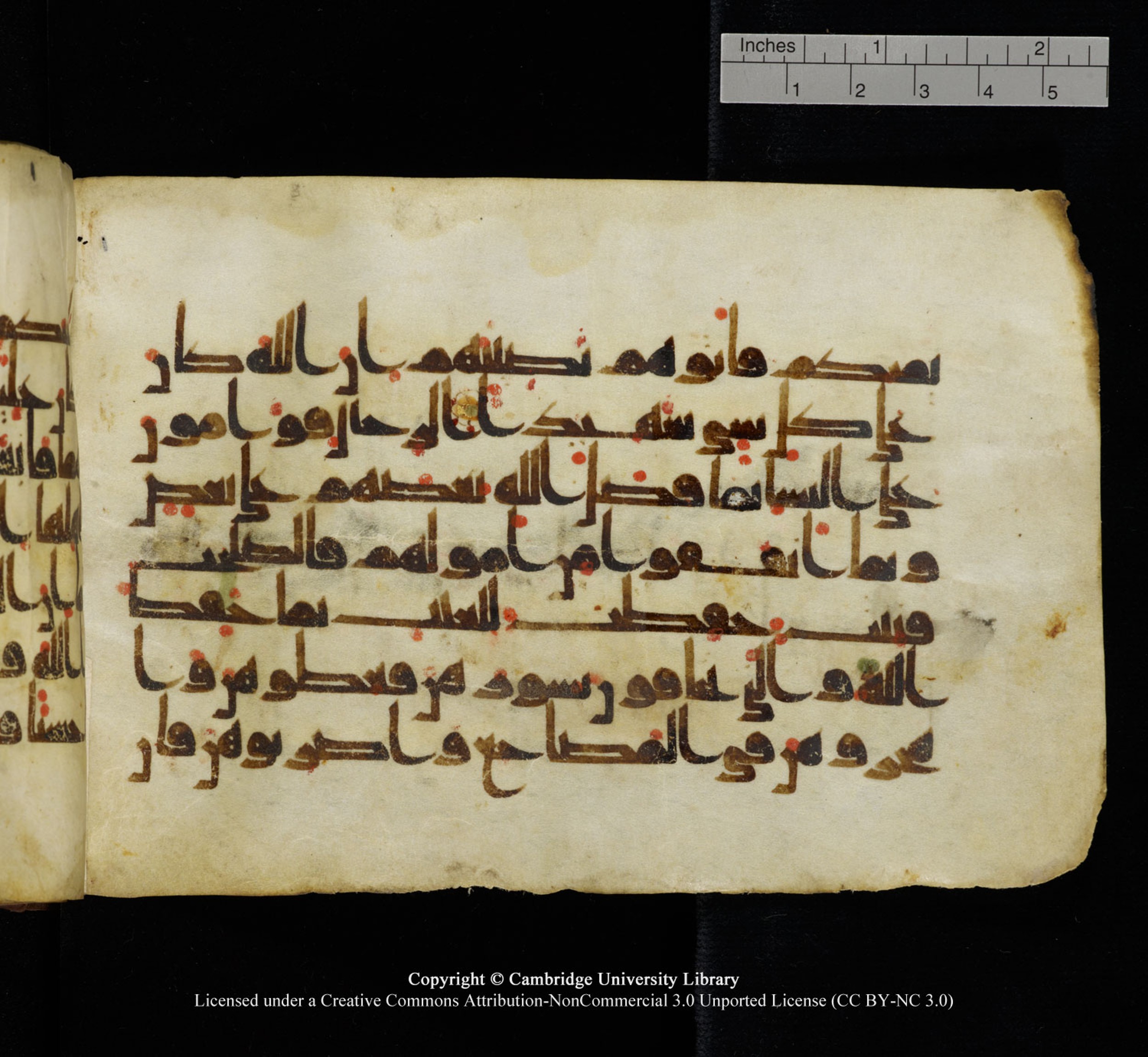 Cambridge University Library, MS Add.1115 (Scan 2), in kūfī D Va script, showing Surah 4:33 from 9th or 10th Century AD found in Sinai Peninsula, currently housed at Cambridge University Library, Cambridge