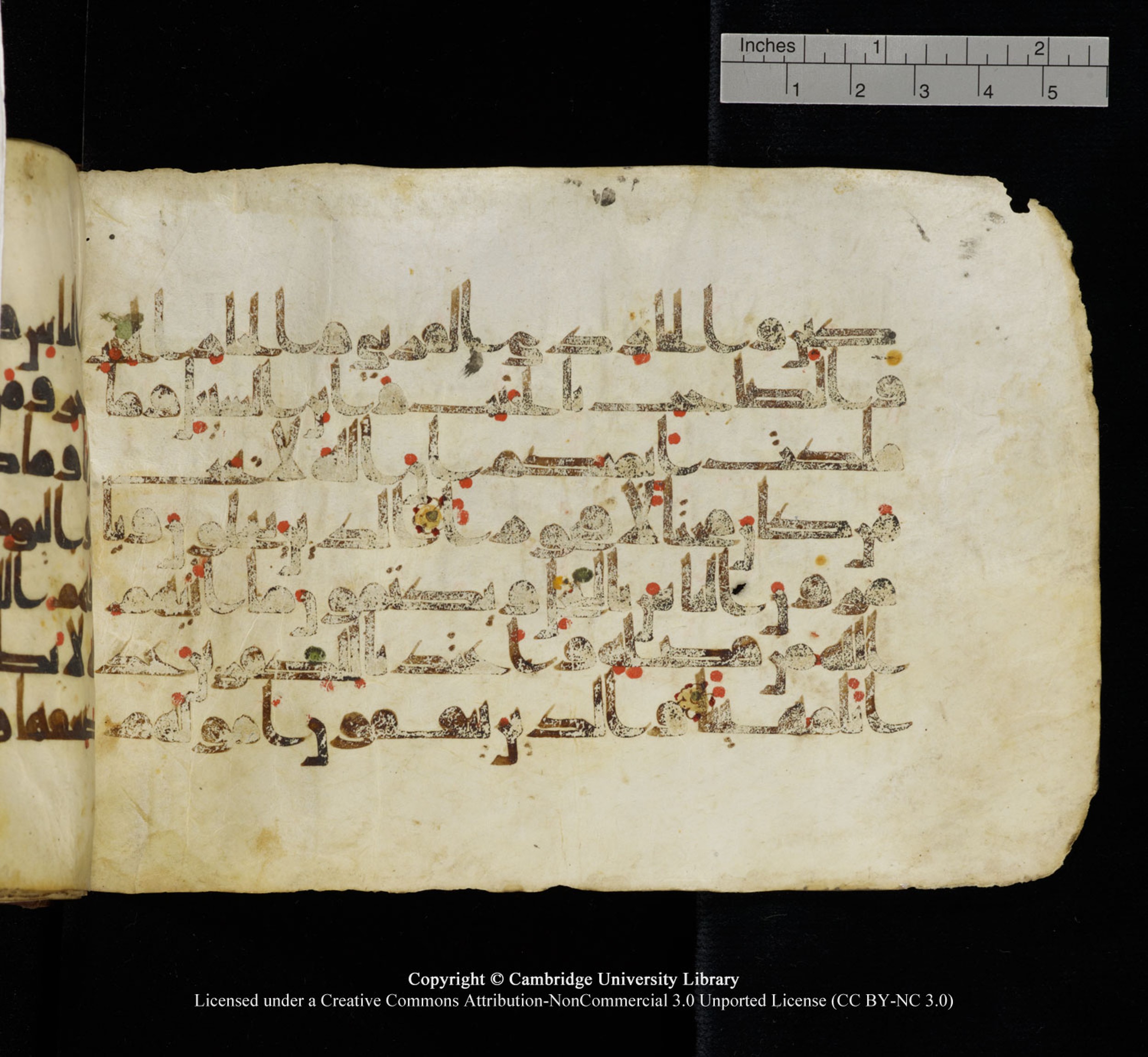 Cambridge University Library, MS Add.1115 (Scan 2), in kūfī D Va script, showing Surah 4:36 from 9th or 10th Century AD found in Sinai Peninsula, currently housed at Cambridge University Library, Cambridge