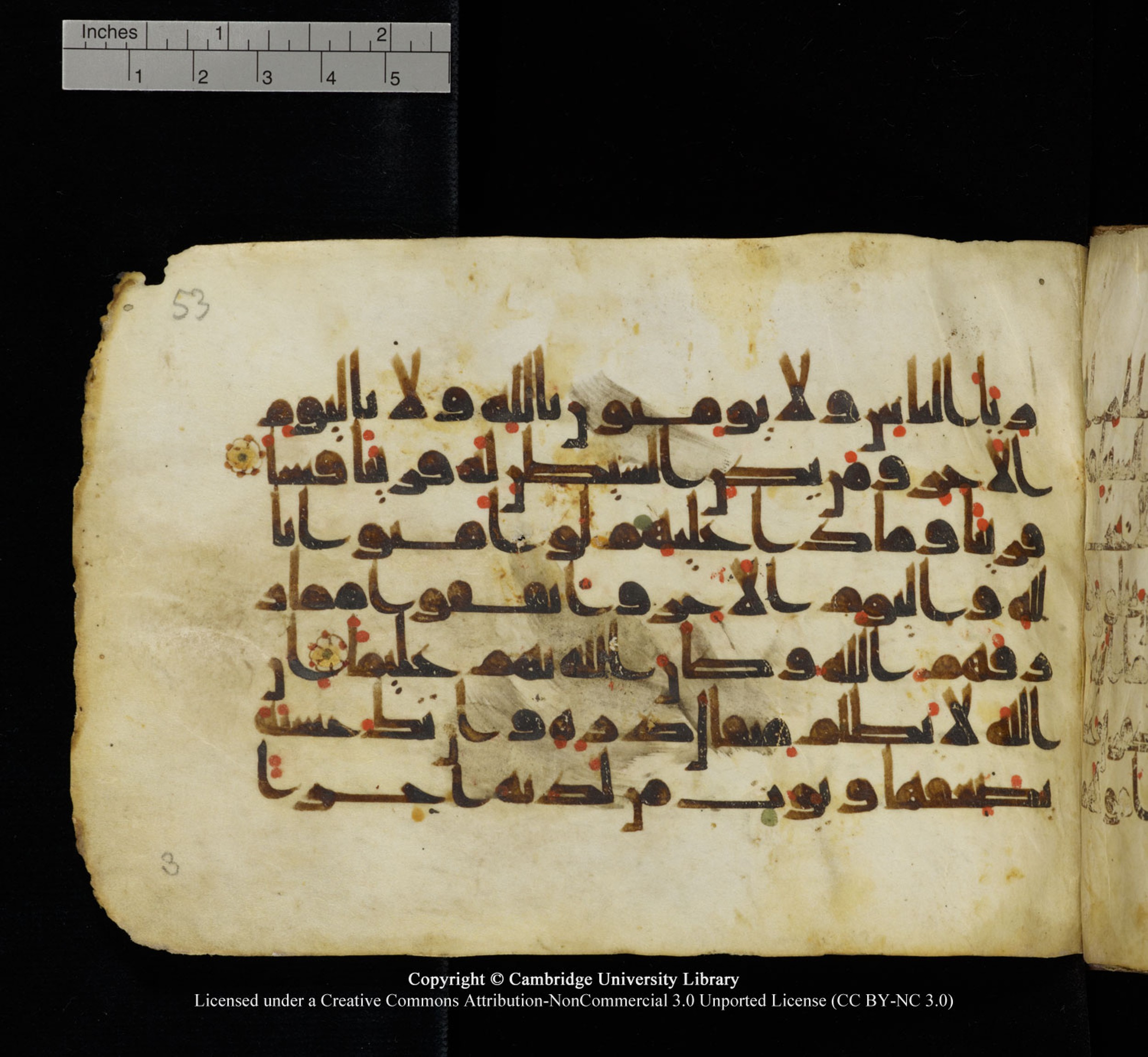 Cambridge University Library, MS Add.1115, in kūfī D Va script, showing Surah 4:39 from 9th or 10th Century AD found in Sinai Peninsula, currently housed at Cambridge University Library, Cambridge