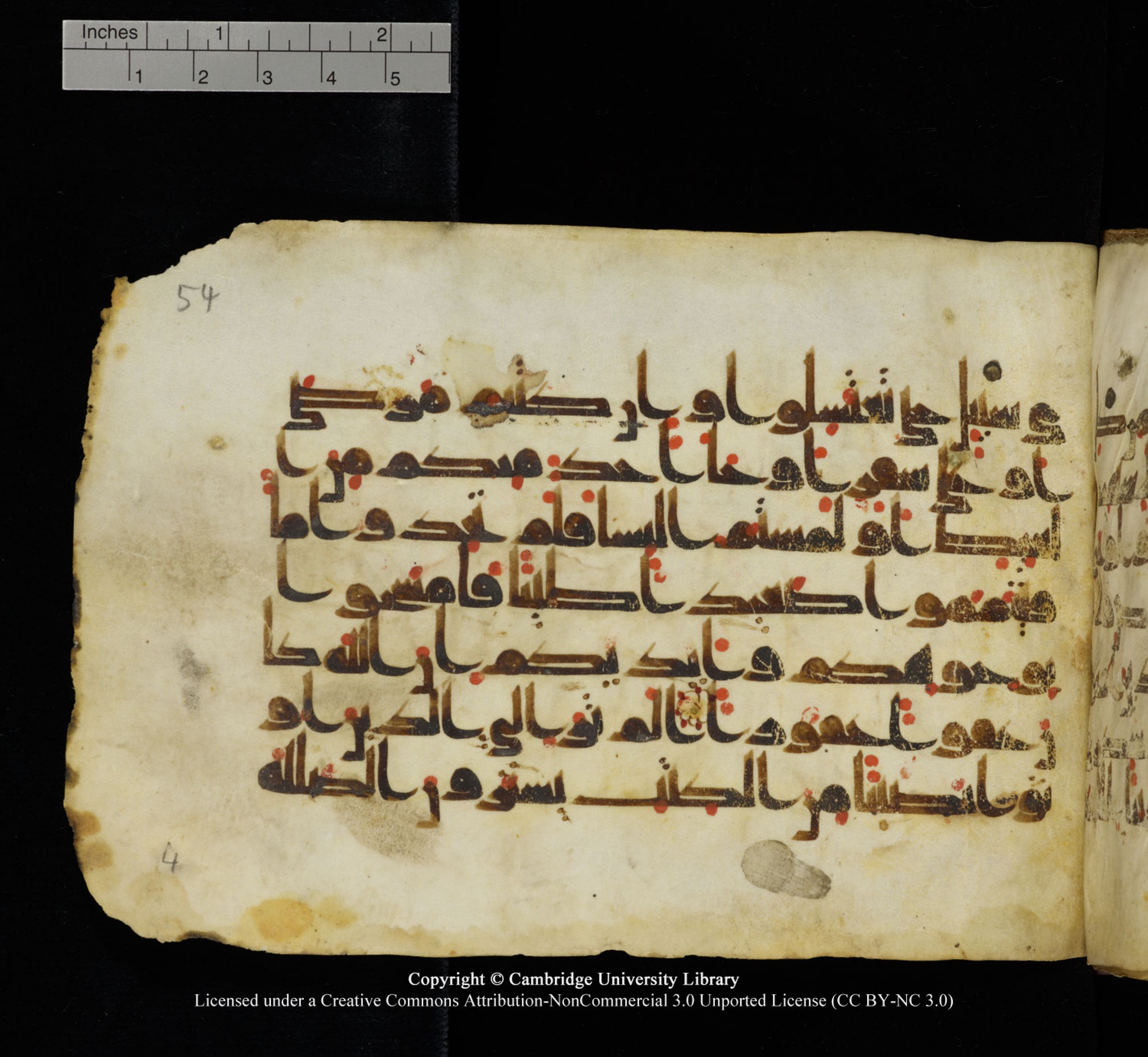 Cambridge University Library, MS Add.1115 (Scan 1), in kūfī D Va script, showing Surah 4:44 from 9th or 10th Century AD found in Sinai Peninsula, currently housed at Cambridge University Library, Cambridge