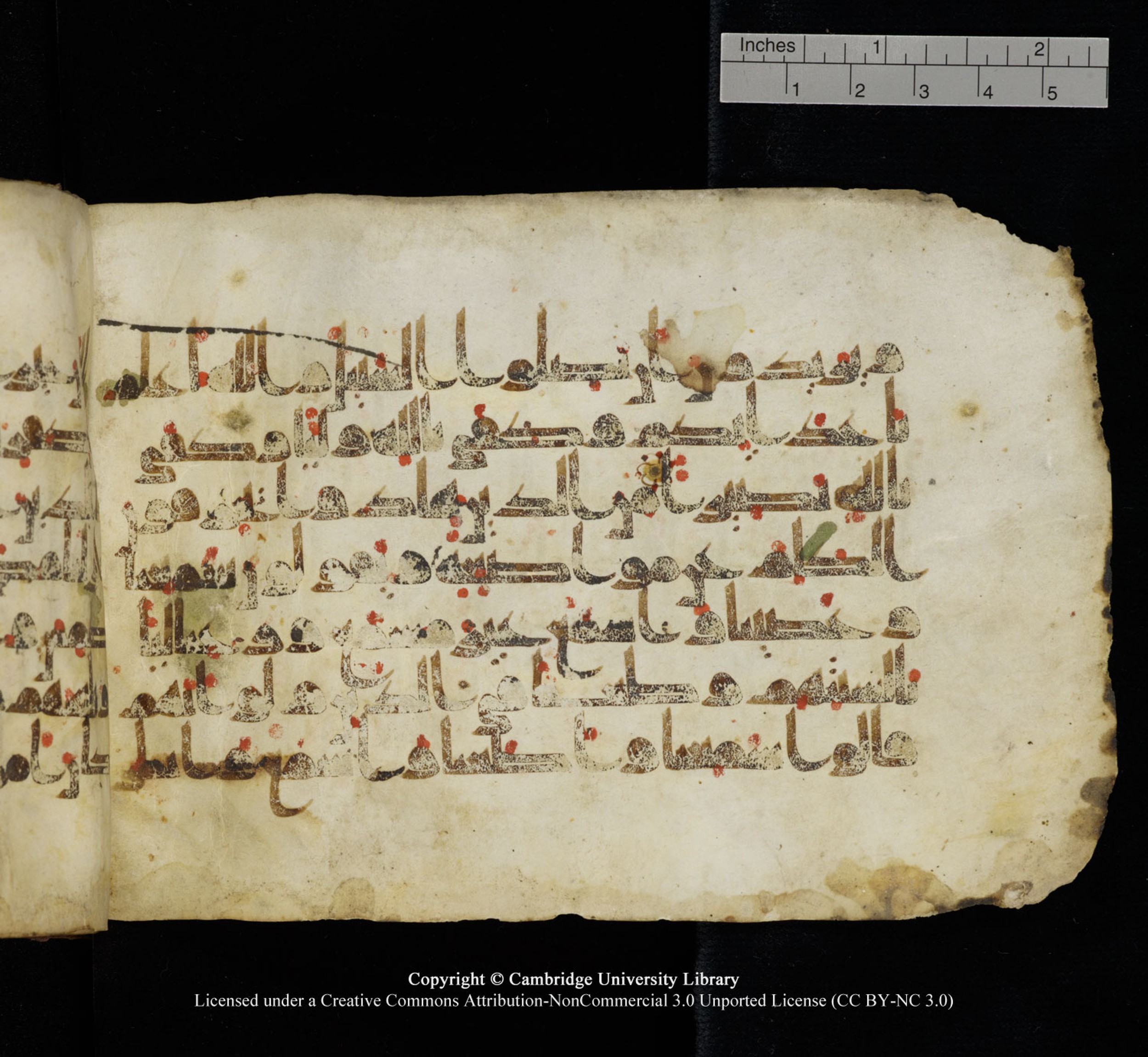 Cambridge University Library, MS Add.1115 (Scan 2), in kūfī D Va script, showing Surah 4:44 from 9th or 10th Century AD found in Sinai Peninsula, currently housed at Cambridge University Library, Cambridge