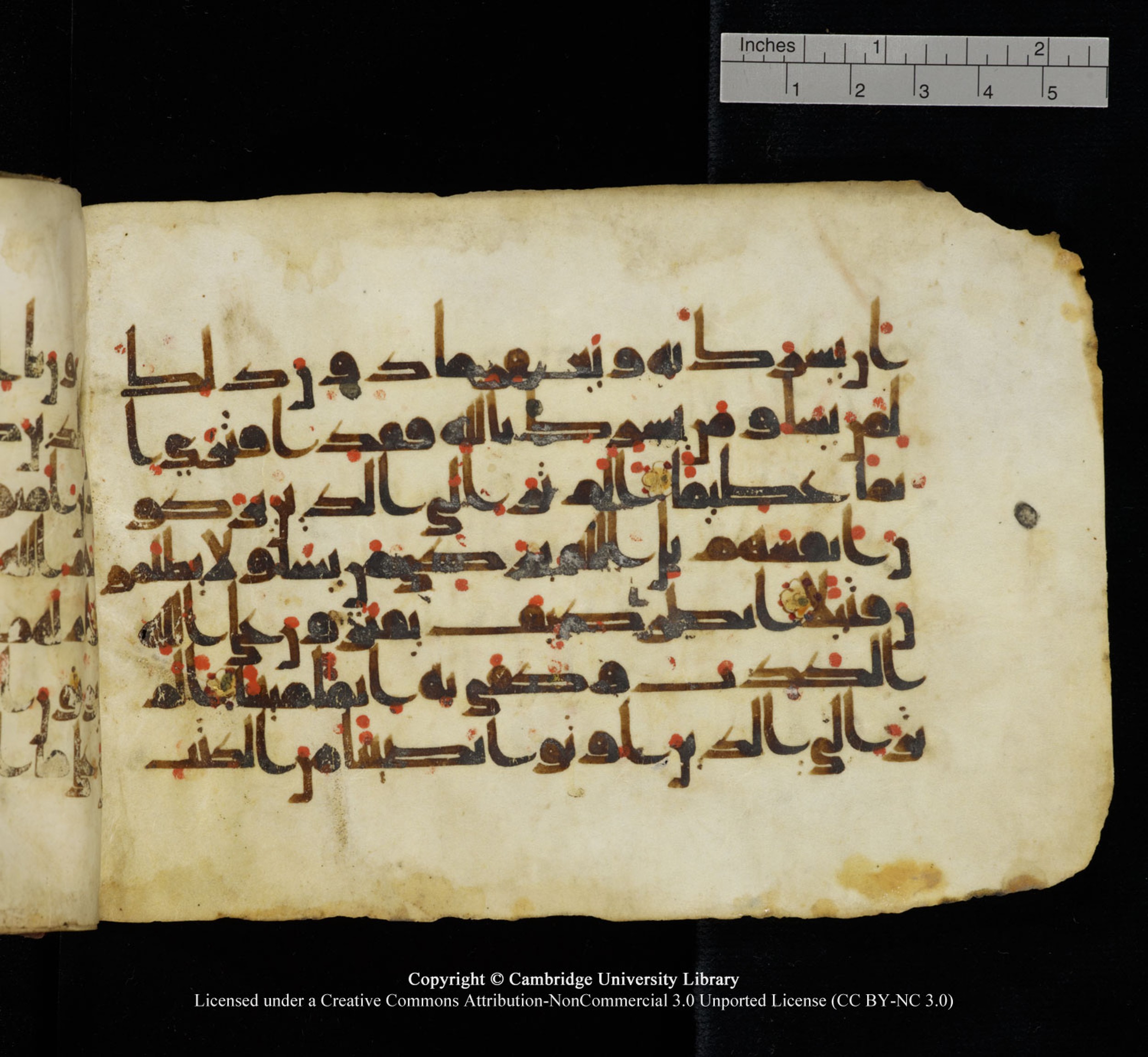 Cambridge University Library, MS Add.1115, in kūfī D Va script, showing Surah 4:49 from 9th or 10th Century AD found in Sinai Peninsula, currently housed at Cambridge University Library, Cambridge