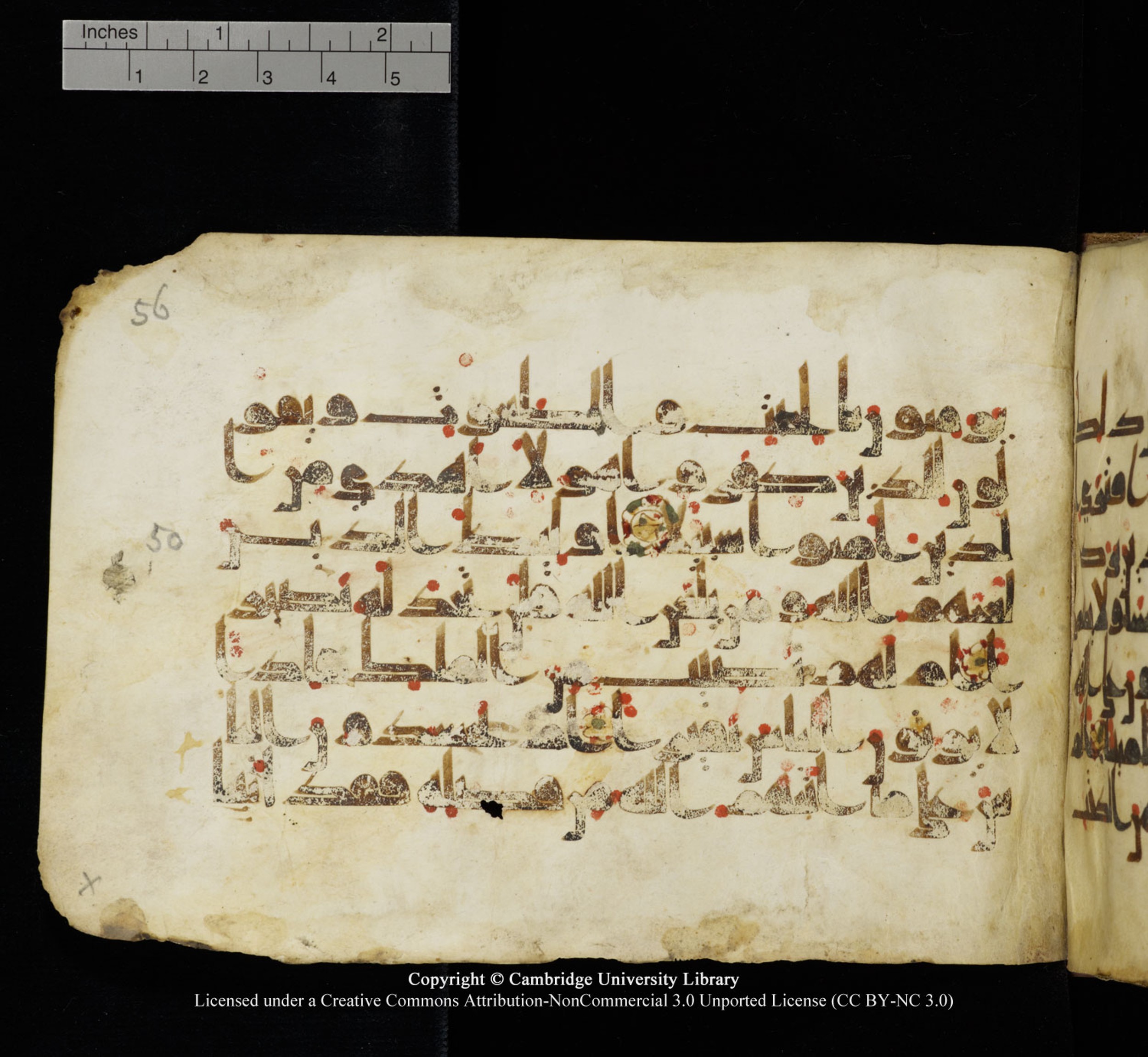 Cambridge University Library, MS Add.1115, in kūfī D Va script, showing Surah 4:52 from 9th or 10th Century AD found in Sinai Peninsula, currently housed at Cambridge University Library, Cambridge