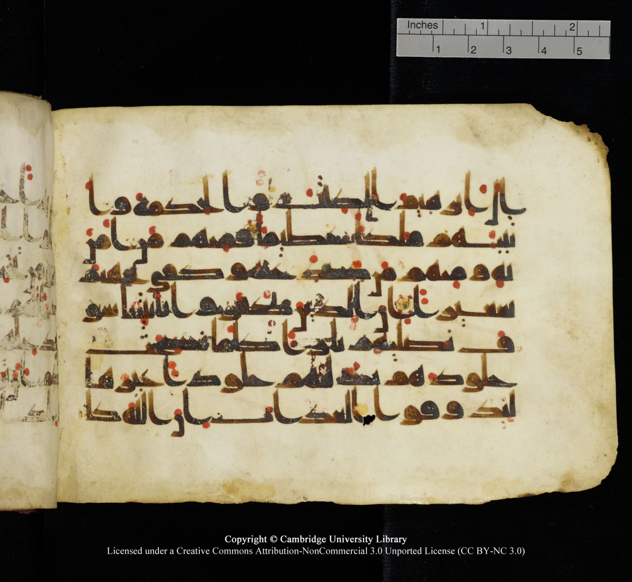 Cambridge University Library, MS Add.1115, in kūfī D Va script, showing Surah 4:55 from 9th or 10th Century AD found in Sinai Peninsula, currently housed at Cambridge University Library, Cambridge