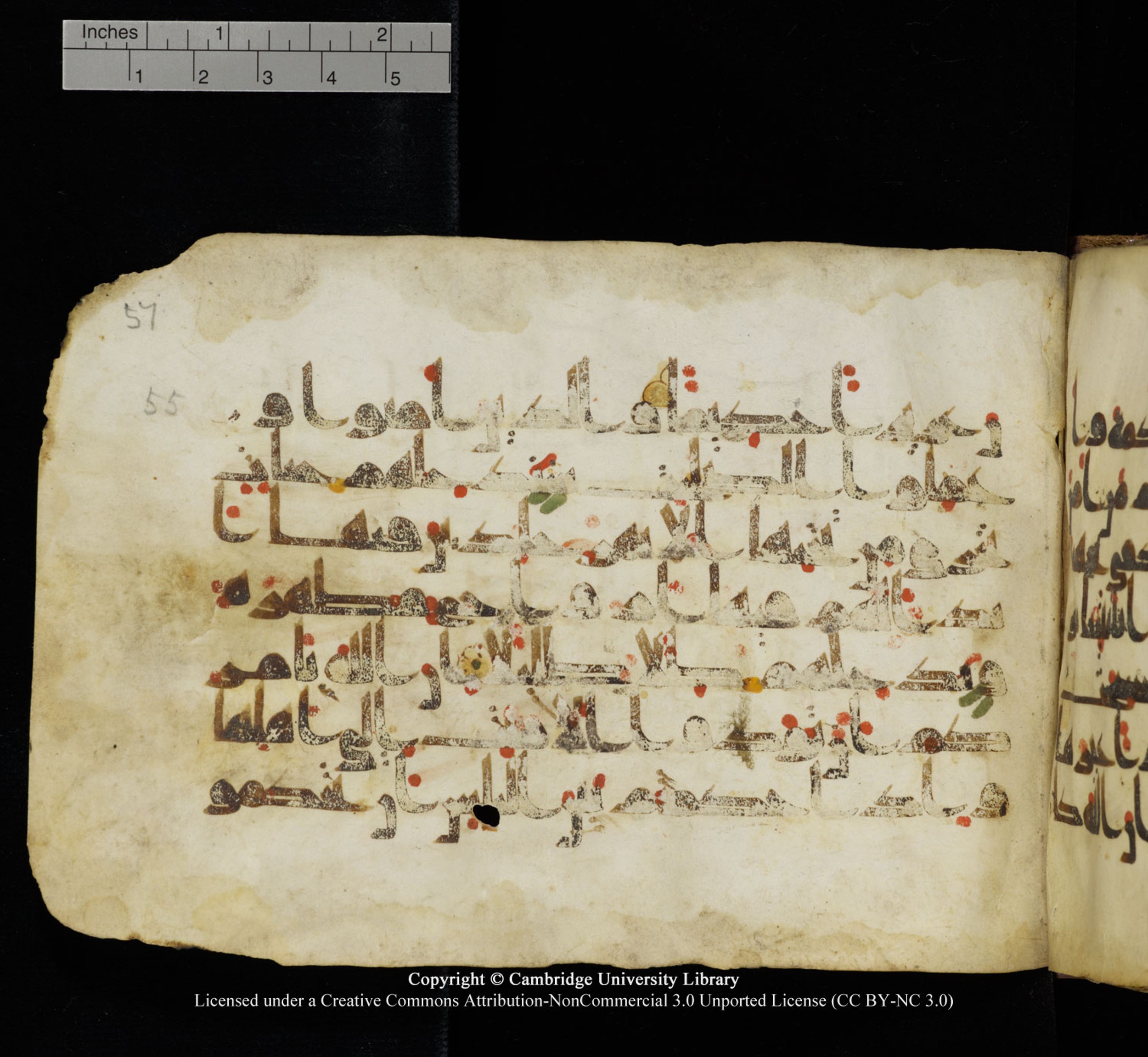 Cambridge University Library, MS Add.1115, in kūfī D Va script, showing Surah 4:57 from 9th or 10th Century AD found in Sinai Peninsula, currently housed at Cambridge University Library, Cambridge