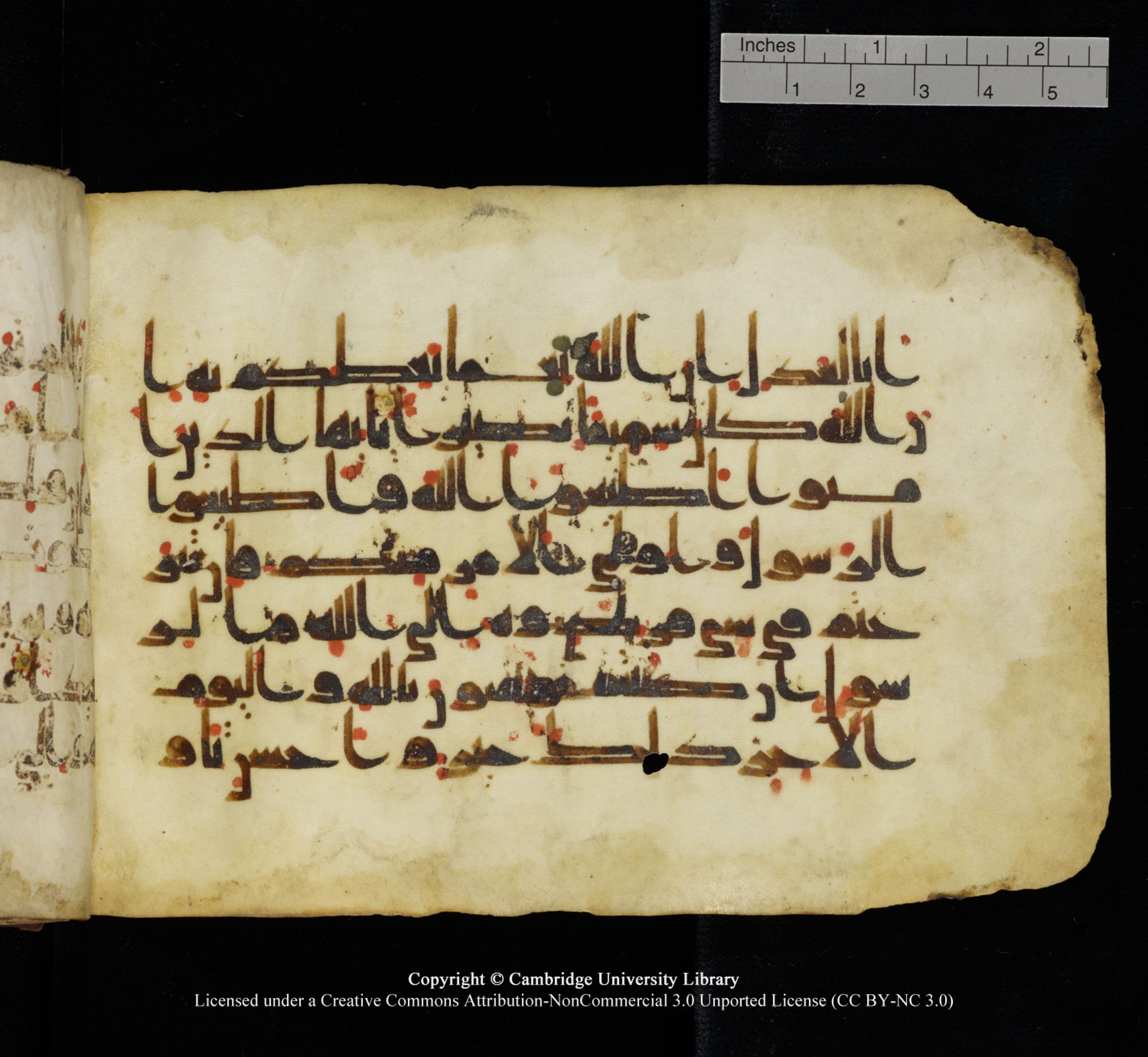 Cambridge University Library, MS Add.1115 (Scan 1), in kūfī D Va script, showing Surah 4:59 from 9th or 10th Century AD found in Sinai Peninsula, currently housed at Cambridge University Library, Cambridge