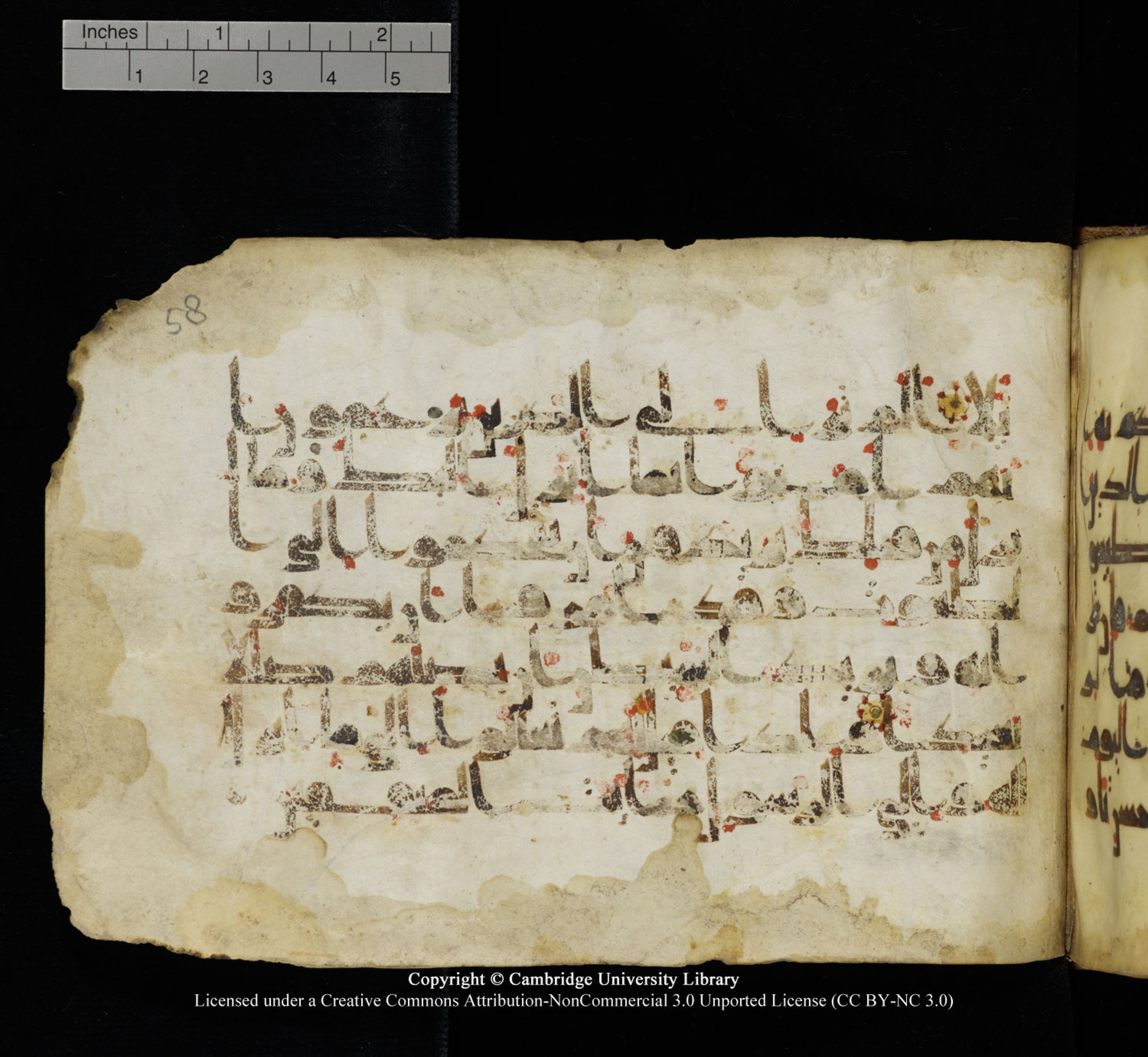 Cambridge University Library, MS Add.1115 (Scan 2), in kūfī D Va script, showing Surah 4:59 from 9th or 10th Century AD found in Sinai Peninsula, currently housed at Cambridge University Library, Cambridge