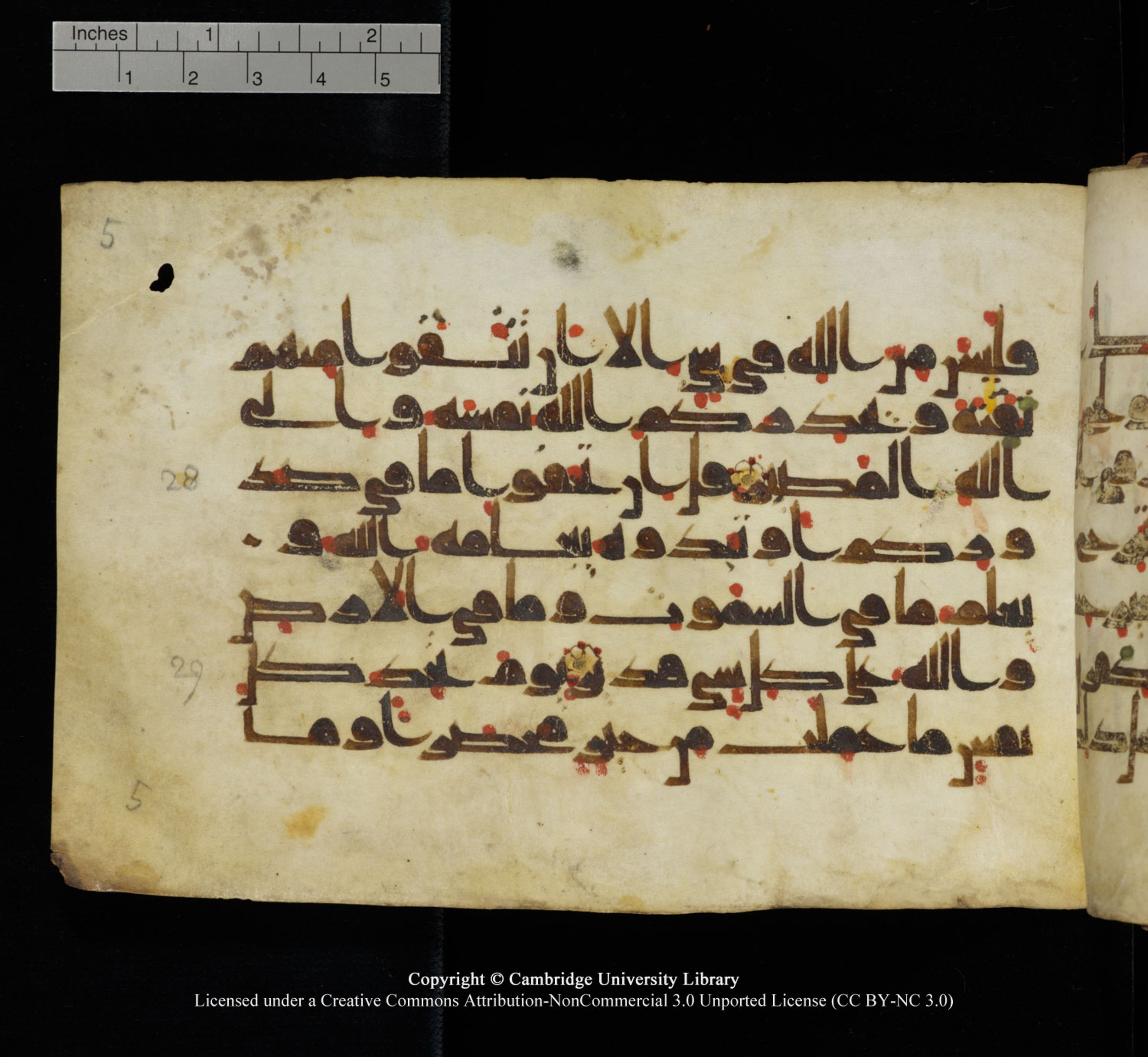 Cambridge University Library, MS Add.1115, in kūfī D Va script, showing Surah 3:29 from 9th or 10th Century AD found in Sinai Peninsula, currently housed at Cambridge University Library, Cambridge