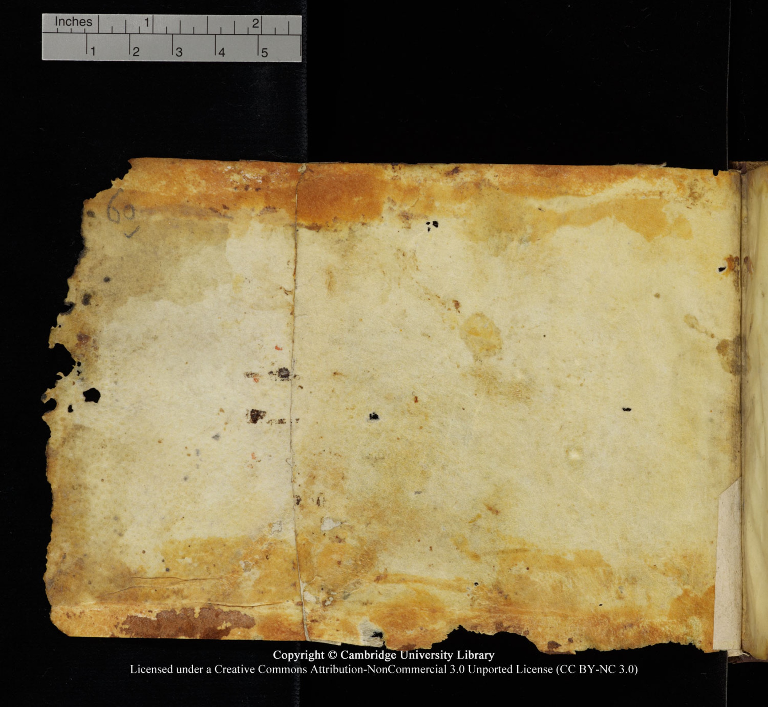 Cambridge University Library, MS Add.1115 (Scan 5), in kūfī D Va script, showing Surah 4:61 from 9th or 10th Century AD found in Sinai Peninsula, currently housed at Cambridge University Library, Cambridge