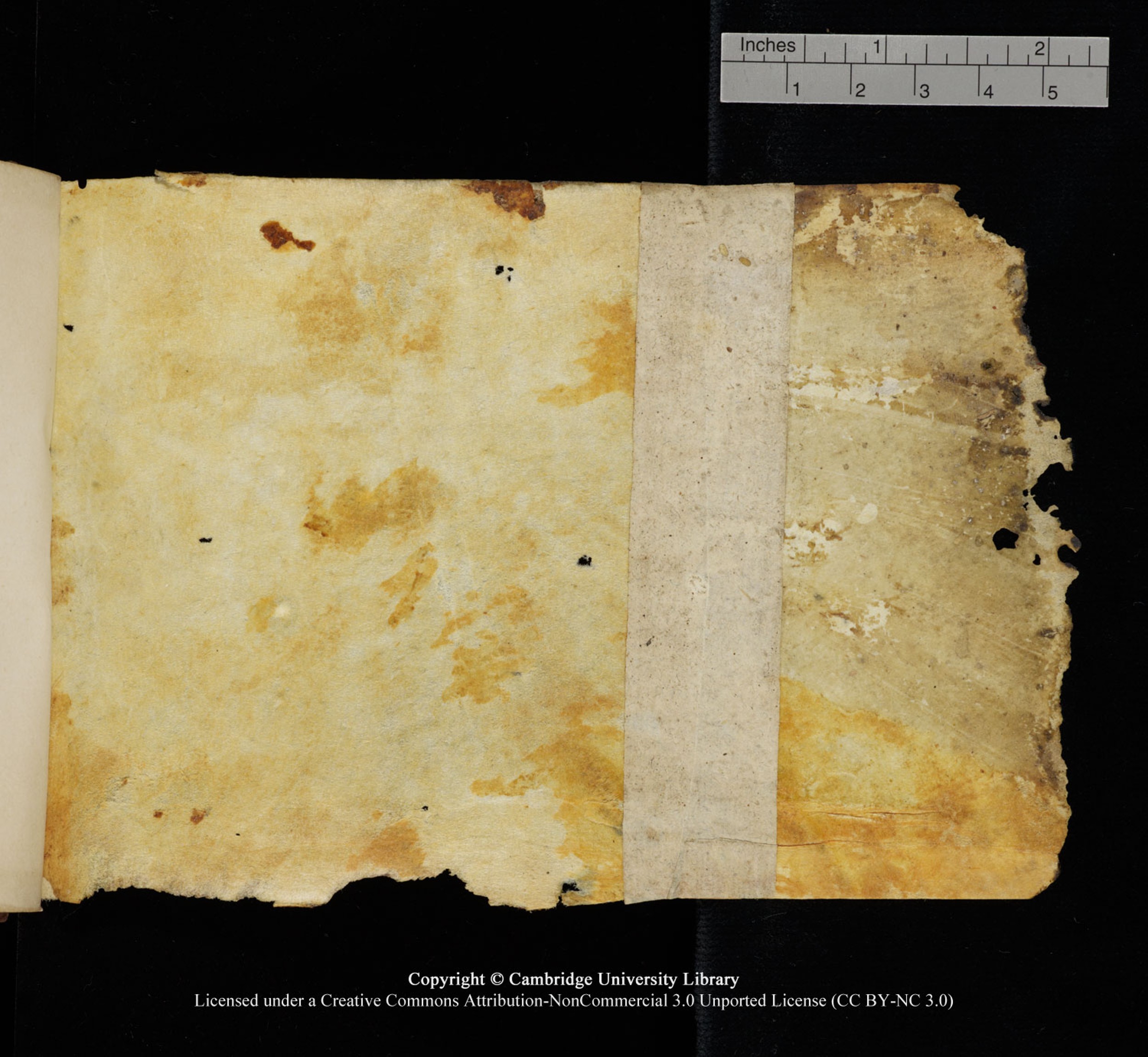 Cambridge University Library, MS Add.1115 (Scan 6), in kūfī D Va script, showing Surah 4:61 from 9th or 10th Century AD found in Sinai Peninsula, currently housed at Cambridge University Library, Cambridge