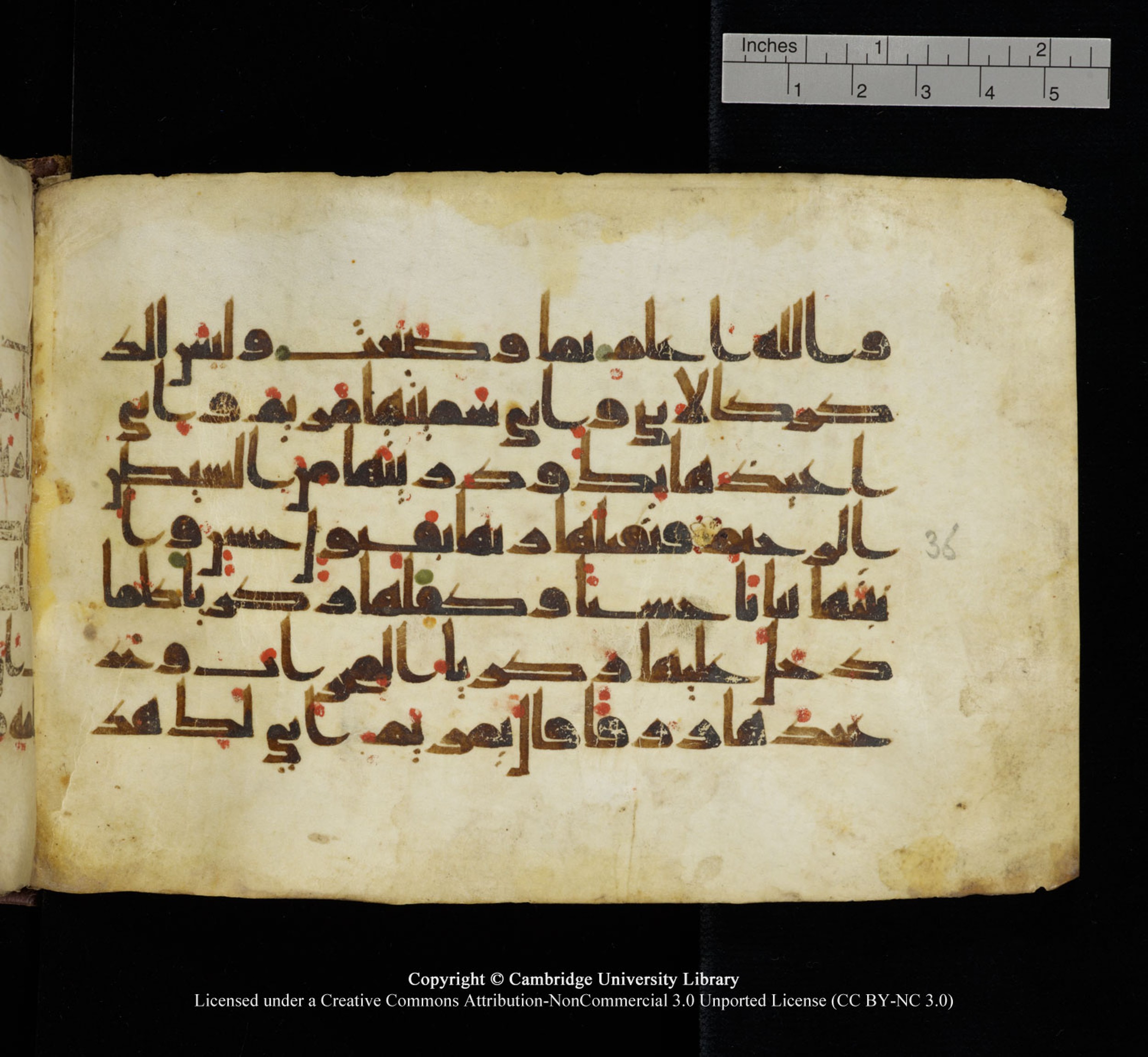 Cambridge University Library, MS Add.1115 (Scan 2), in kūfī D Va script, showing Surah 3:36 from 9th or 10th Century AD found in Sinai Peninsula, currently housed at Cambridge University Library, Cambridge