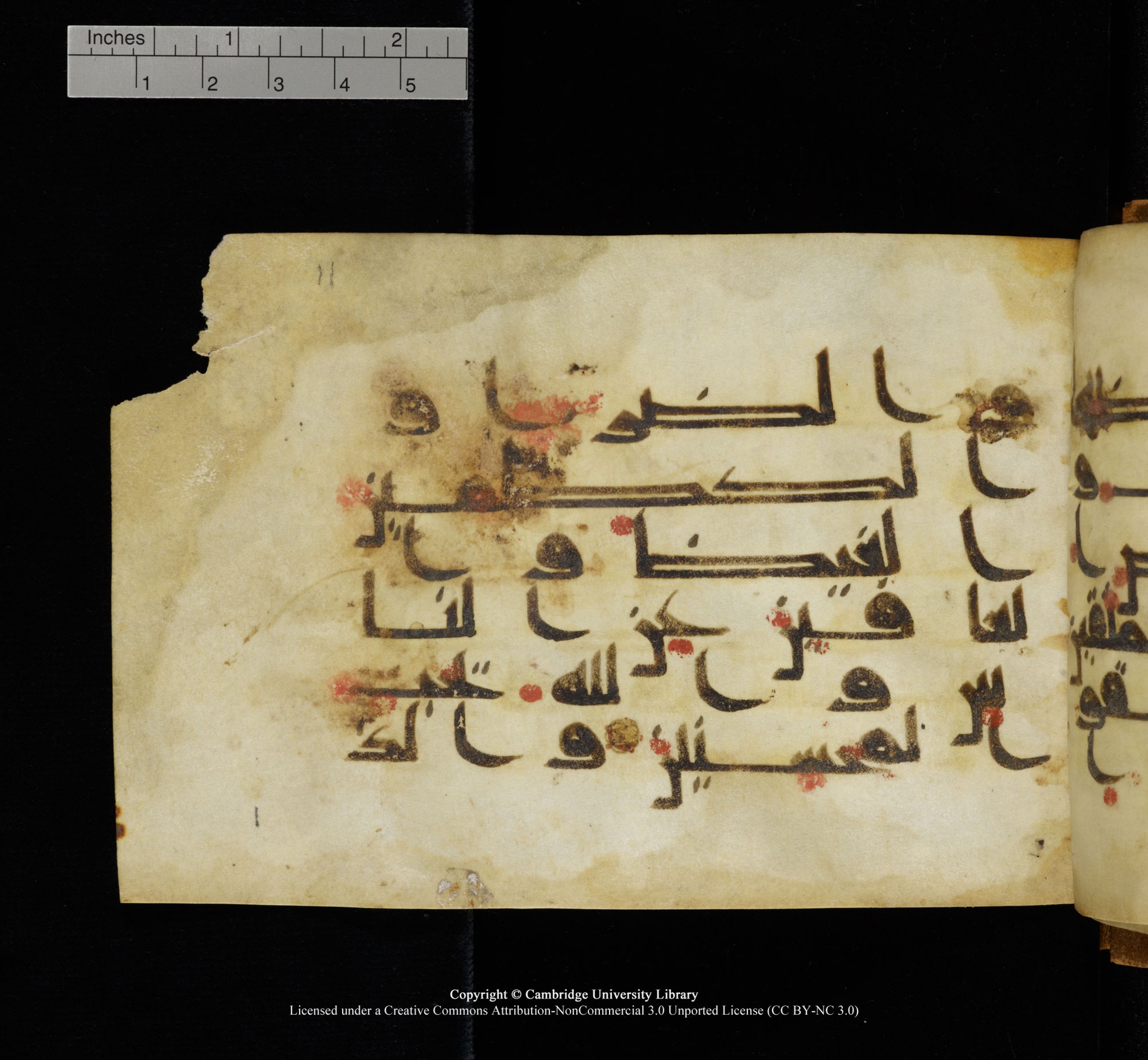 Cambridge, Cambridge University Library, MS Add.1117 (Scan 1), in kūfī D II script, showing Surah 3:135 from 9th or 10th Century AD found in Sinai Peninsula, currently housed at Cambridge University Library, Cambridge