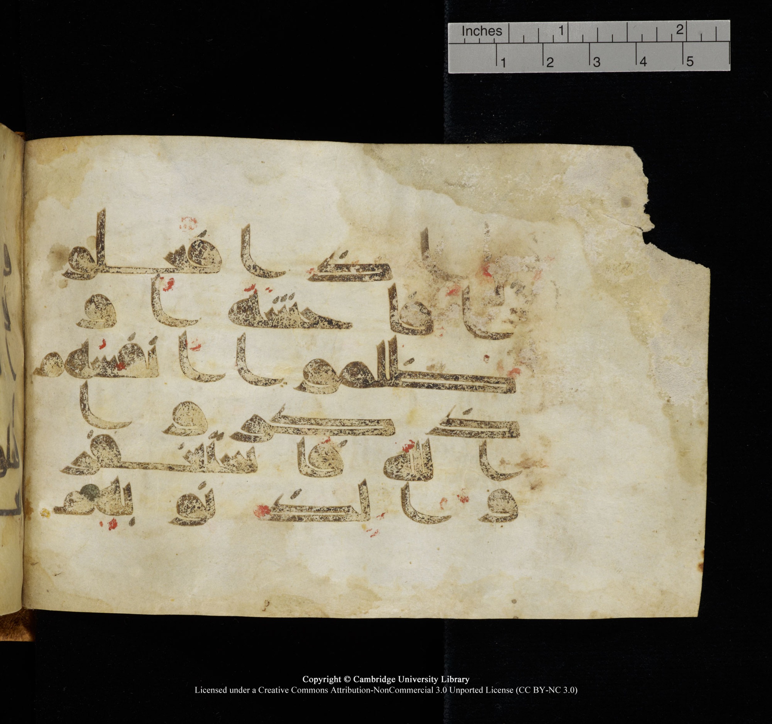 Cambridge, Cambridge University Library, MS Add.1117 (Scan 2), in kūfī D II script, showing Surah 3:135 from 9th or 10th Century AD found in Sinai Peninsula, currently housed at Cambridge University Library, Cambridge