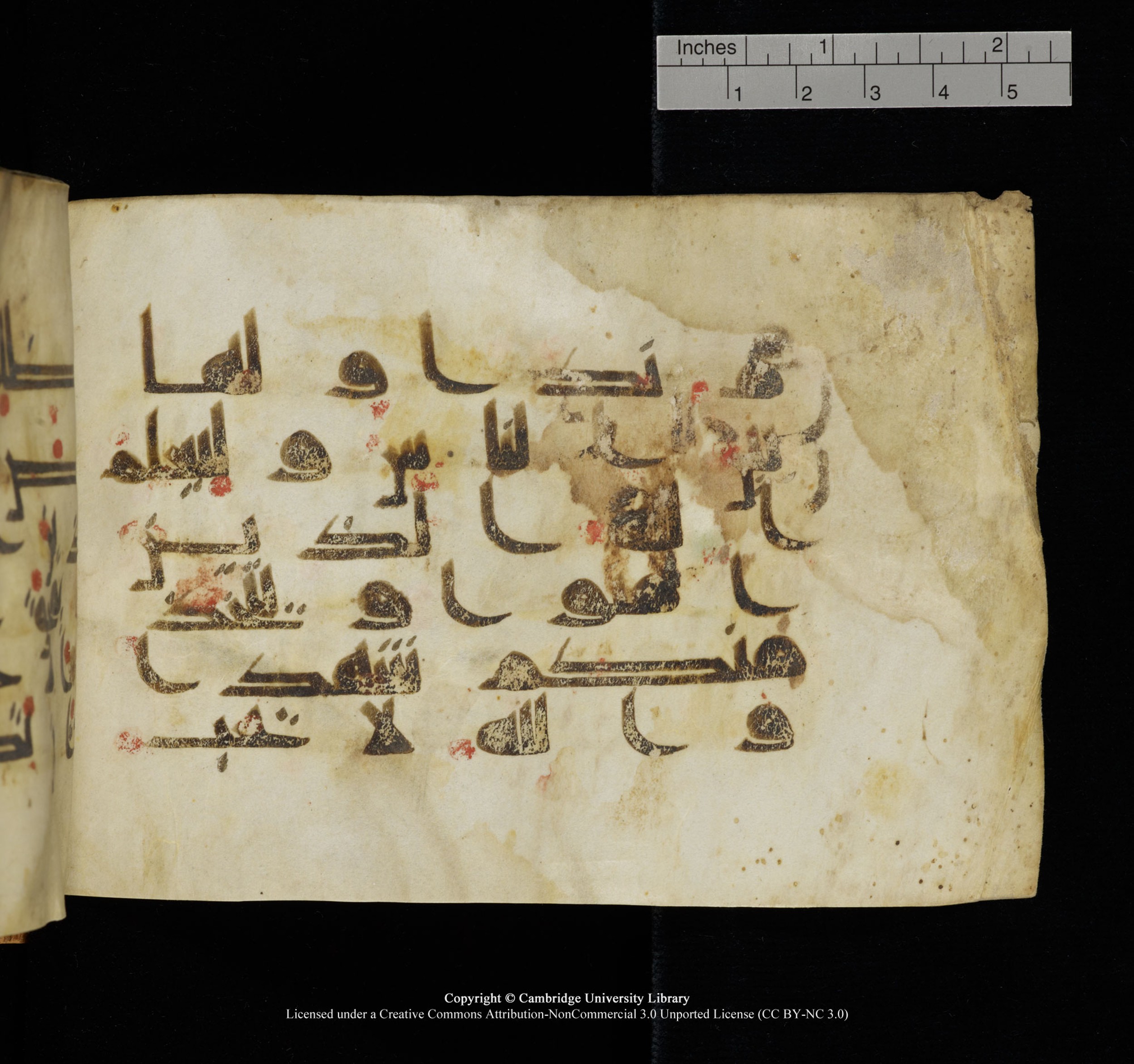 Cambridge, Cambridge University Library, MS Add.1117 (Scan 2), in kūfī D II script, showing Surah 3:140 from 9th or 10th Century AD found in Sinai Peninsula, currently housed at Cambridge University Library, Cambridge