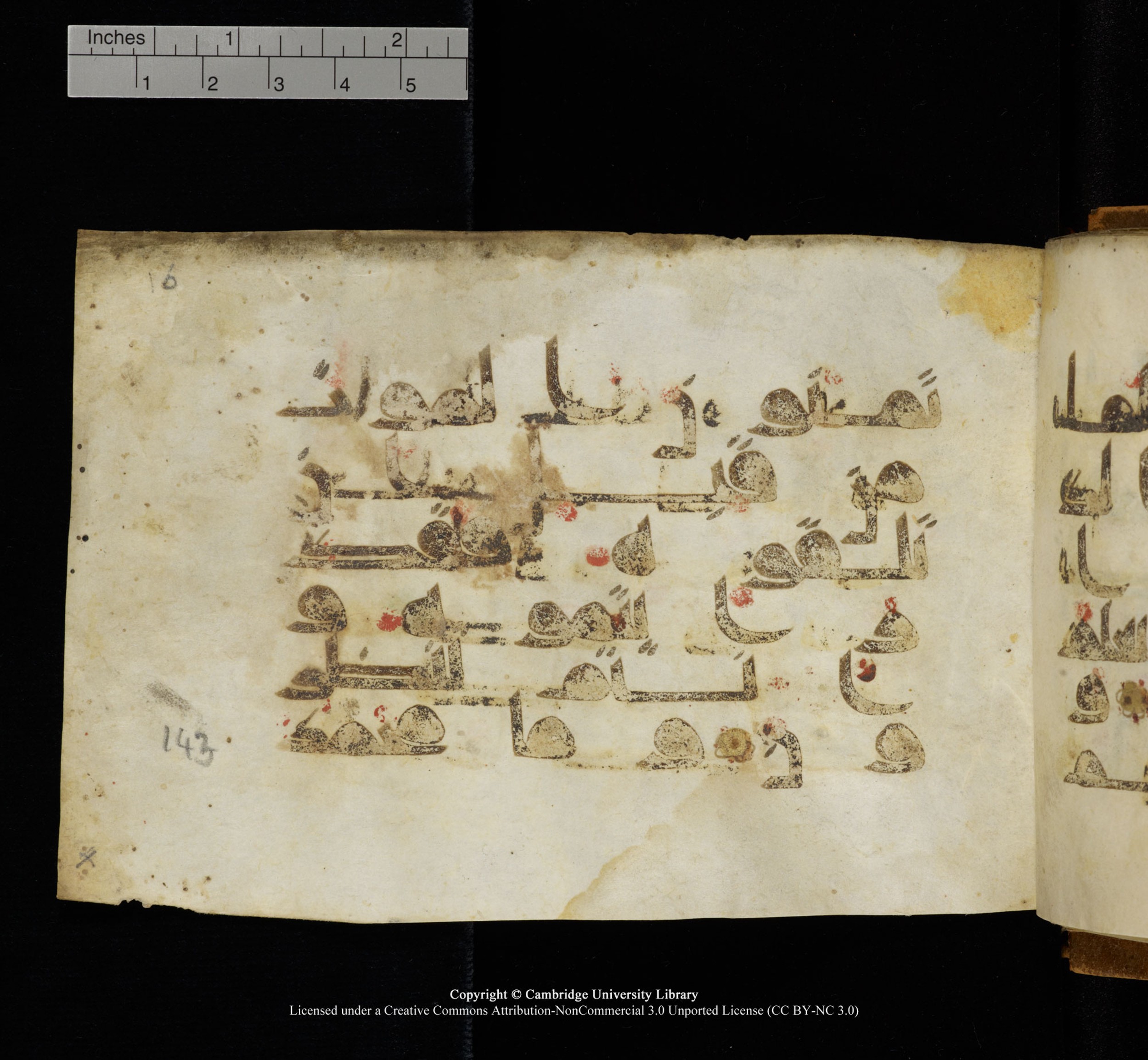 Cambridge, Cambridge University Library, MS Add.1117 (Scan 1), in kūfī D II script, showing Surah 3:144 from 9th or 10th Century AD found in Sinai Peninsula, currently housed at Cambridge University Library, Cambridge
