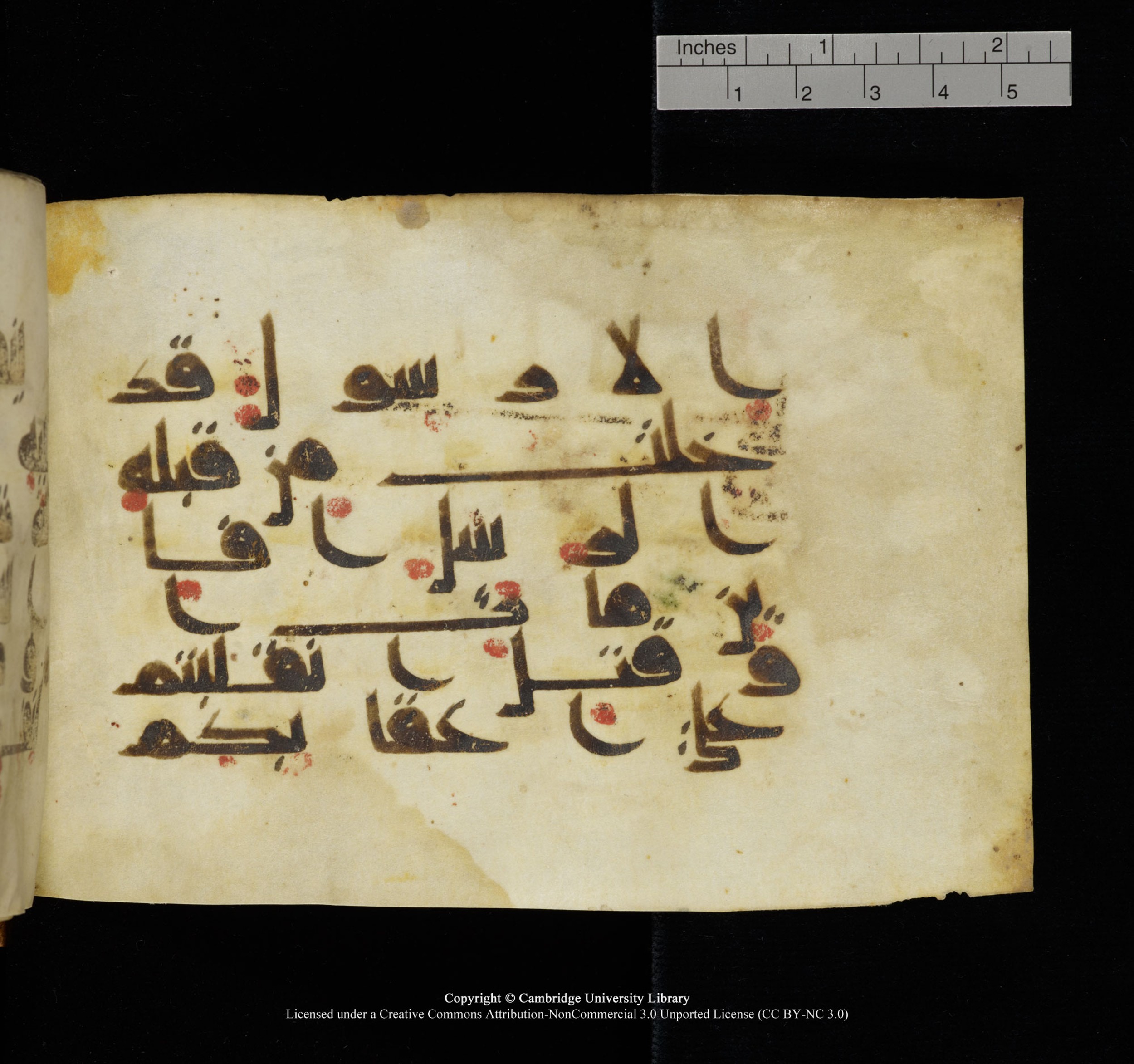 Cambridge, Cambridge University Library, MS Add.1117 (Scan 2), in kūfī D II script, showing Surah 3:144 from 9th or 10th Century AD found in Sinai Peninsula, currently housed at Cambridge University Library, Cambridge