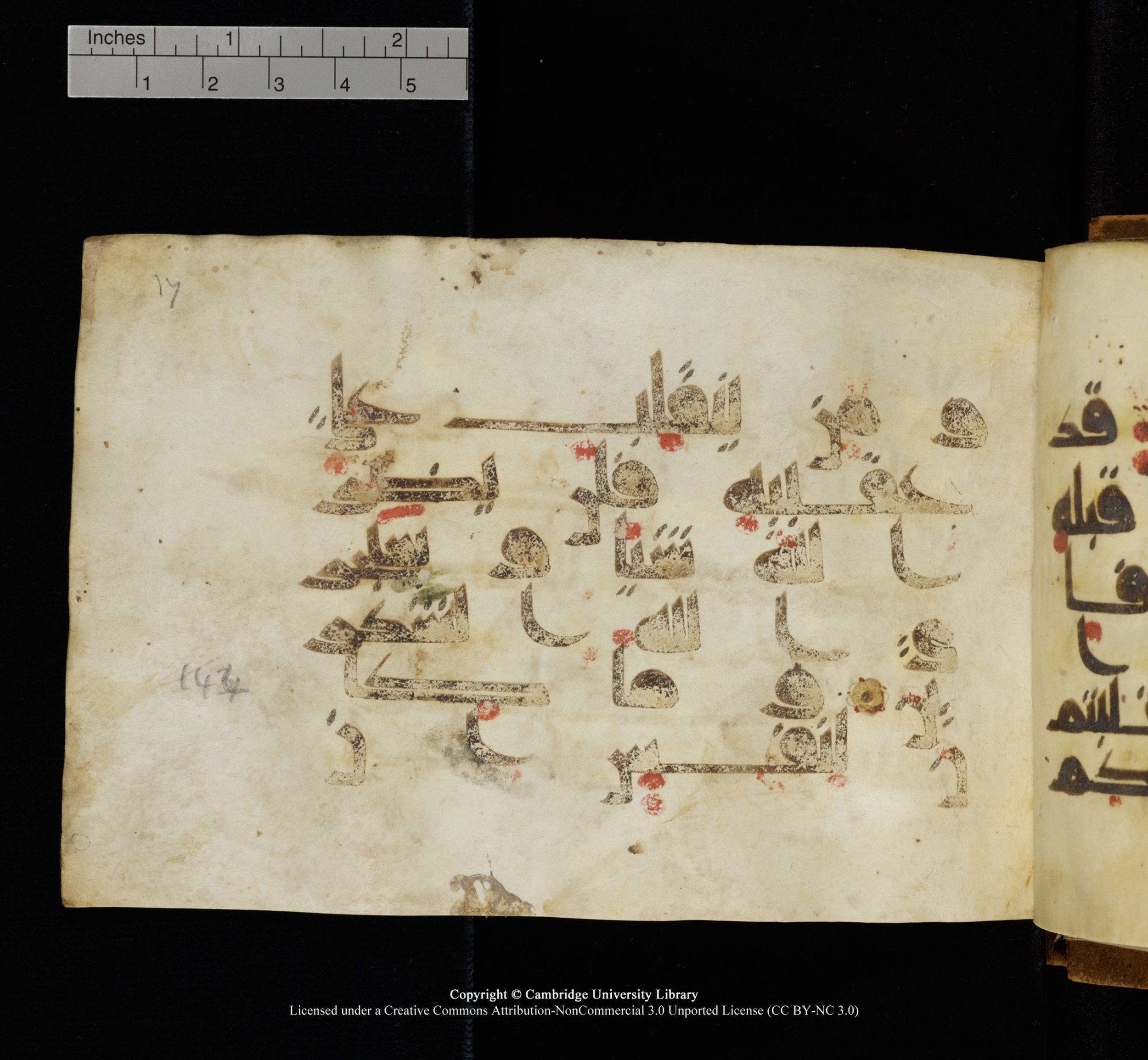 Cambridge, Cambridge University Library, MS Add.1117 (Scan 3), in kūfī D II script, showing Surah 3:144 from 9th or 10th Century AD found in Sinai Peninsula, currently housed at Cambridge University Library, Cambridge