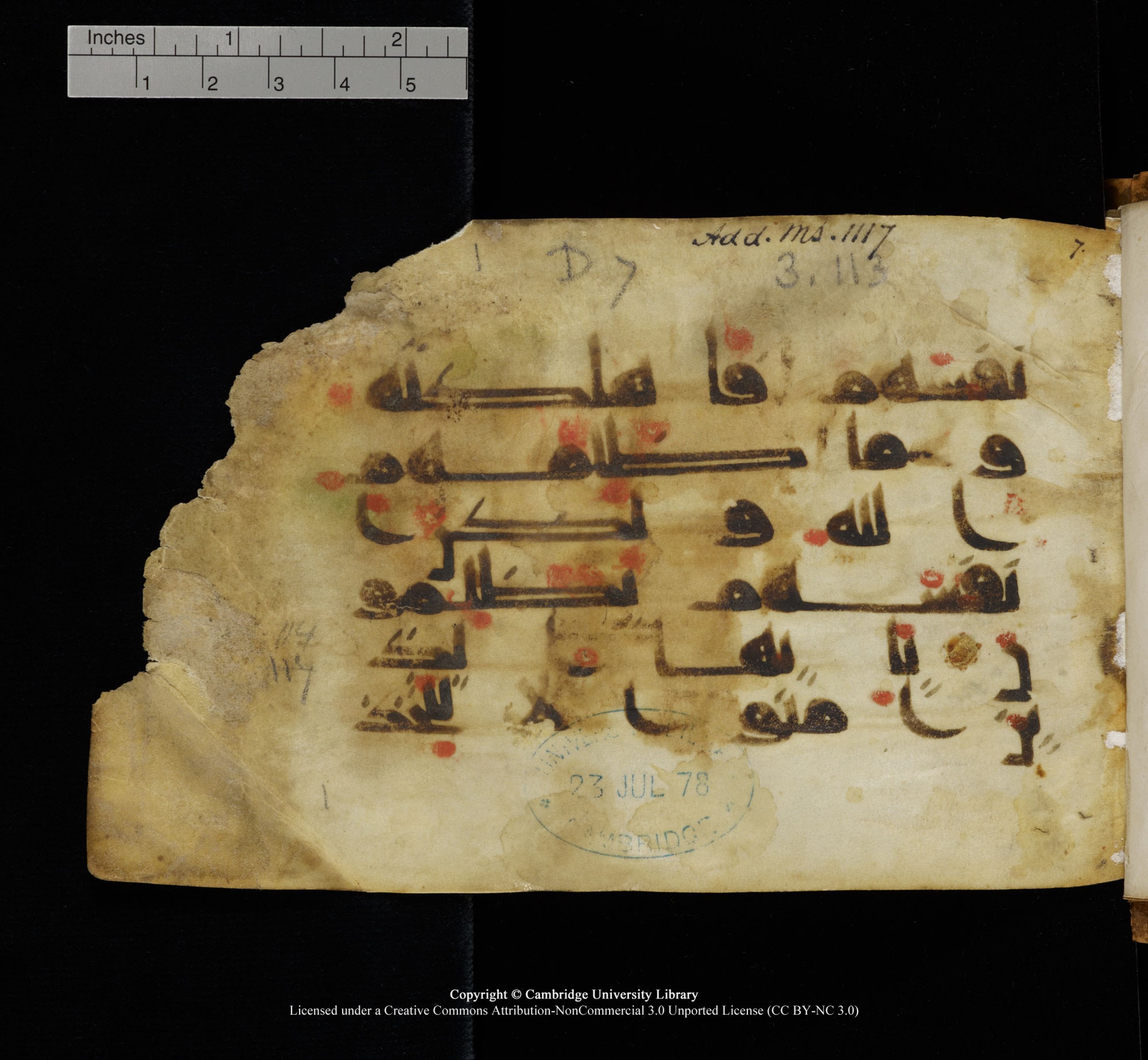 Cambridge, Cambridge University Library, MS Add.1117 (Scan 1), in kūfī D II script, showing Surah 3:118 from 9th or 10th Century AD found in Sinai Peninsula, currently housed at Cambridge University Library, Cambridge
