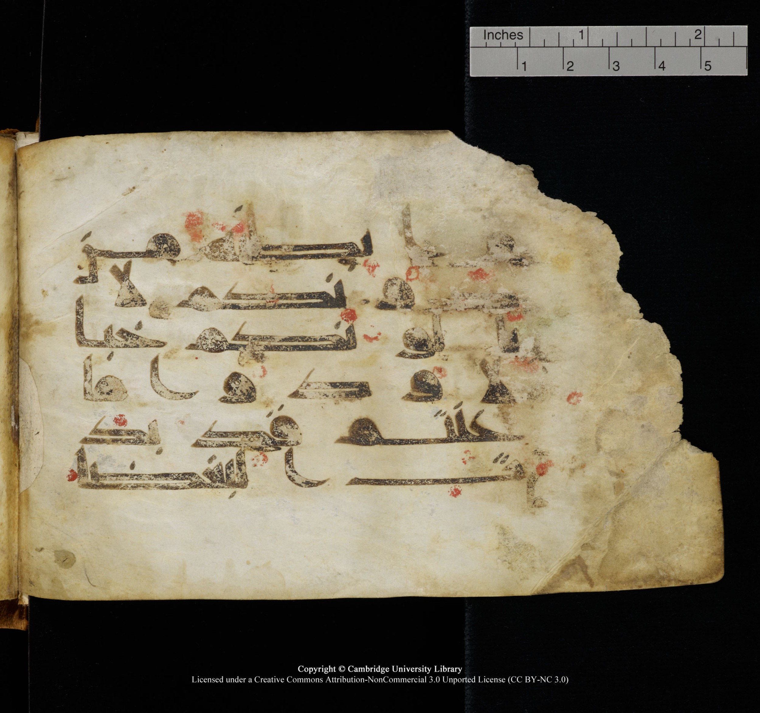 Cambridge, Cambridge University Library, MS Add.1117 (Scan 2), in kūfī D II script, showing Surah 3:118 from 9th or 10th Century AD found in Sinai Peninsula, currently housed at Cambridge University Library, Cambridge