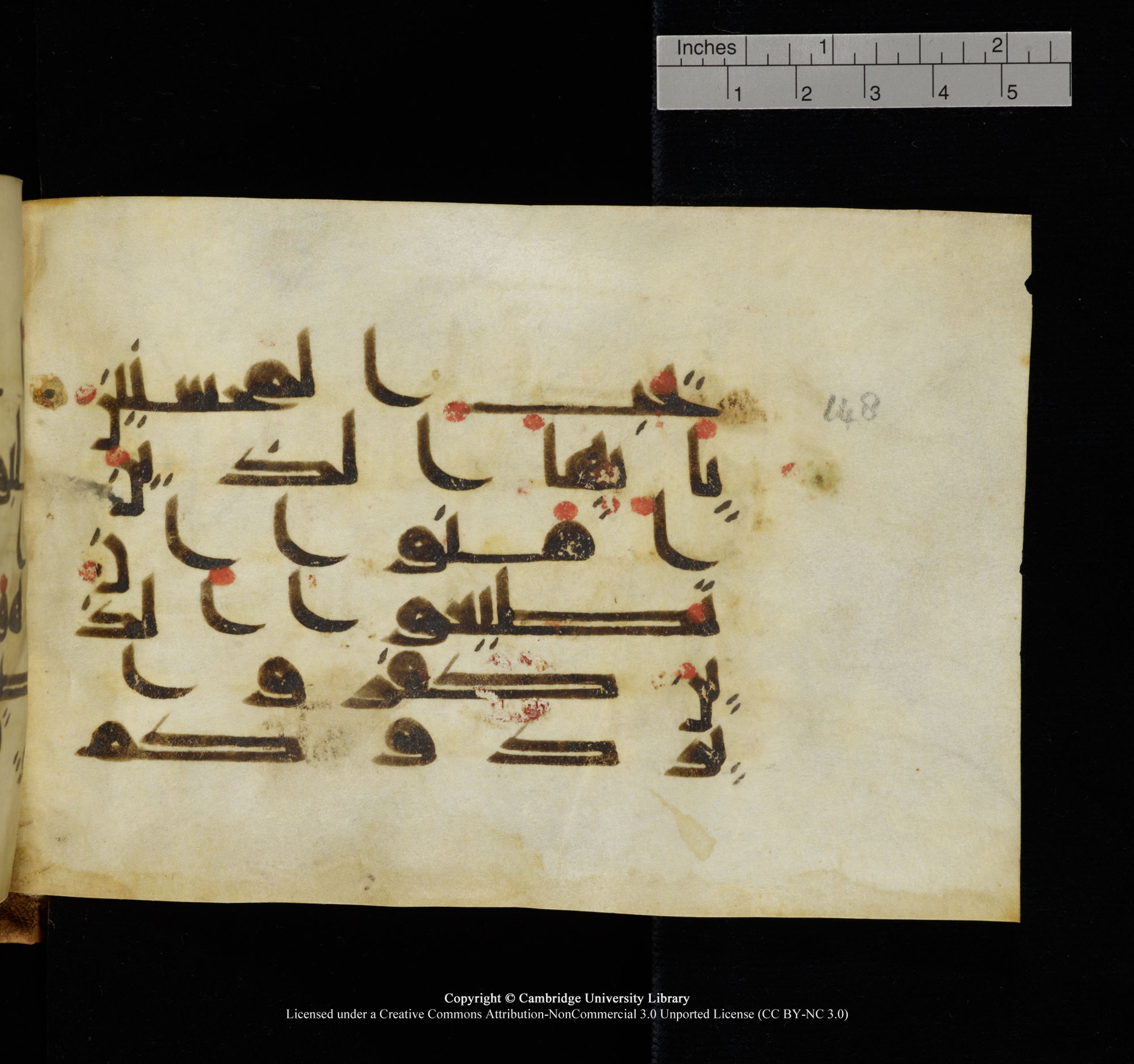 Cambridge, Cambridge University Library, MS Add.1117 (Scan 1), in kūfī D II script, showing Surah 3:149 from 9th or 10th Century AD found in Sinai Peninsula, currently housed at Cambridge University Library, Cambridge