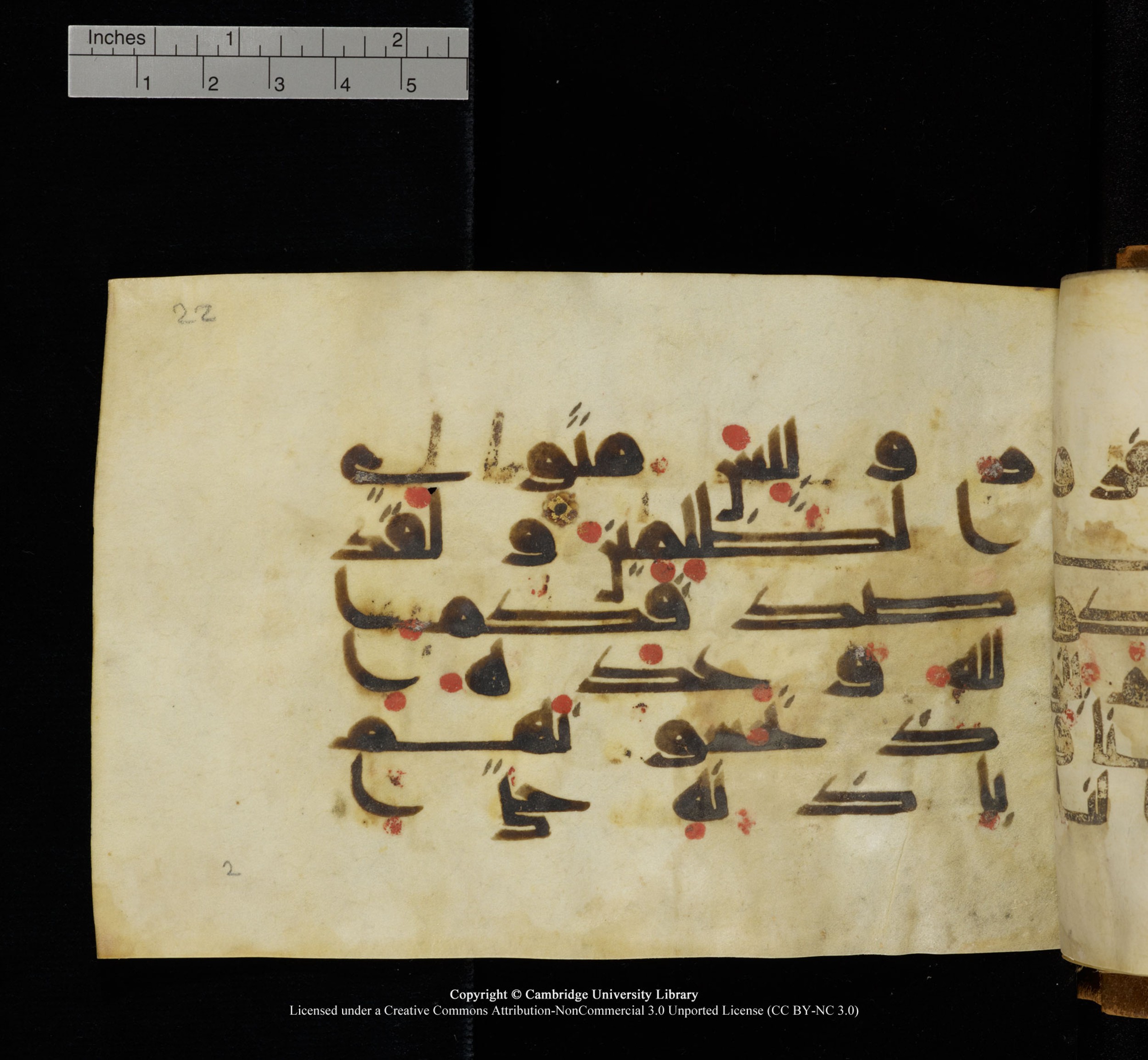 Cambridge, Cambridge University Library, MS Add.1117 (Scan 1), in kūfī D II script, showing Surah 3:152 from 9th or 10th Century AD found in Sinai Peninsula, currently housed at Cambridge University Library, Cambridge