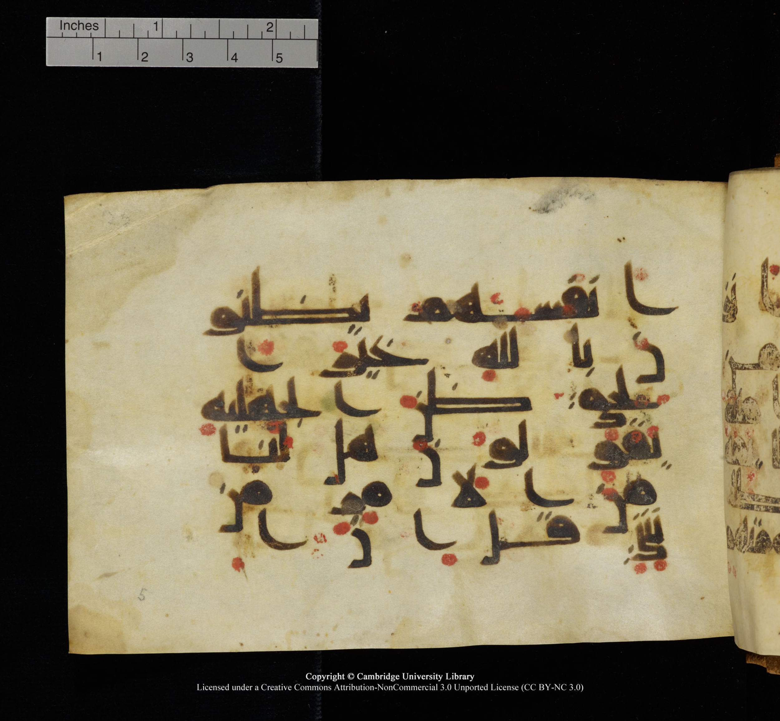 Cambridge, Cambridge University Library, MS Add.1117 (Scan 2), in kūfī D II script, showing Surah 3:154 from 9th or 10th Century AD found in Sinai Peninsula, currently housed at Cambridge University Library, Cambridge