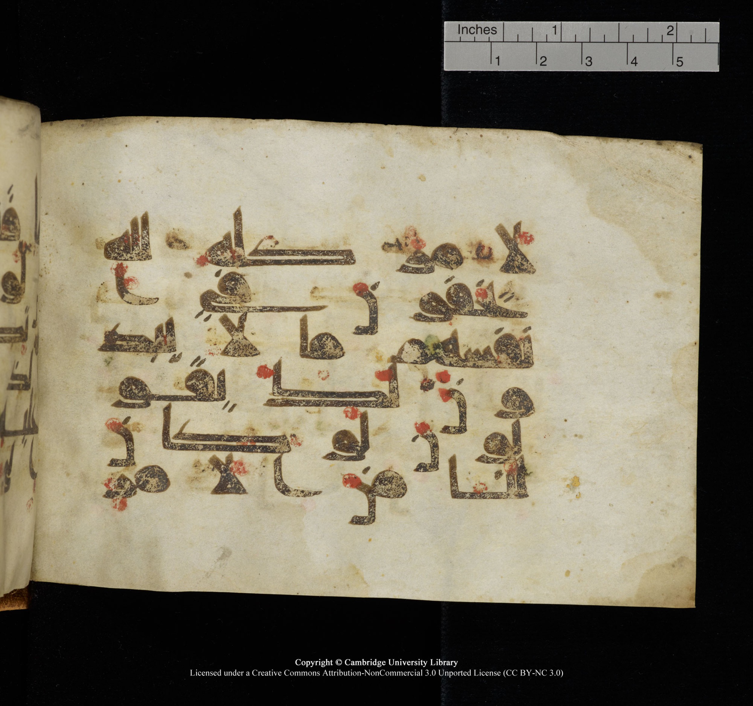 Cambridge, Cambridge University Library, MS Add.1117 (Scan 3), in kūfī D II script, showing Surah 3:154 from 9th or 10th Century AD found in Sinai Peninsula, currently housed at Cambridge University Library, Cambridge