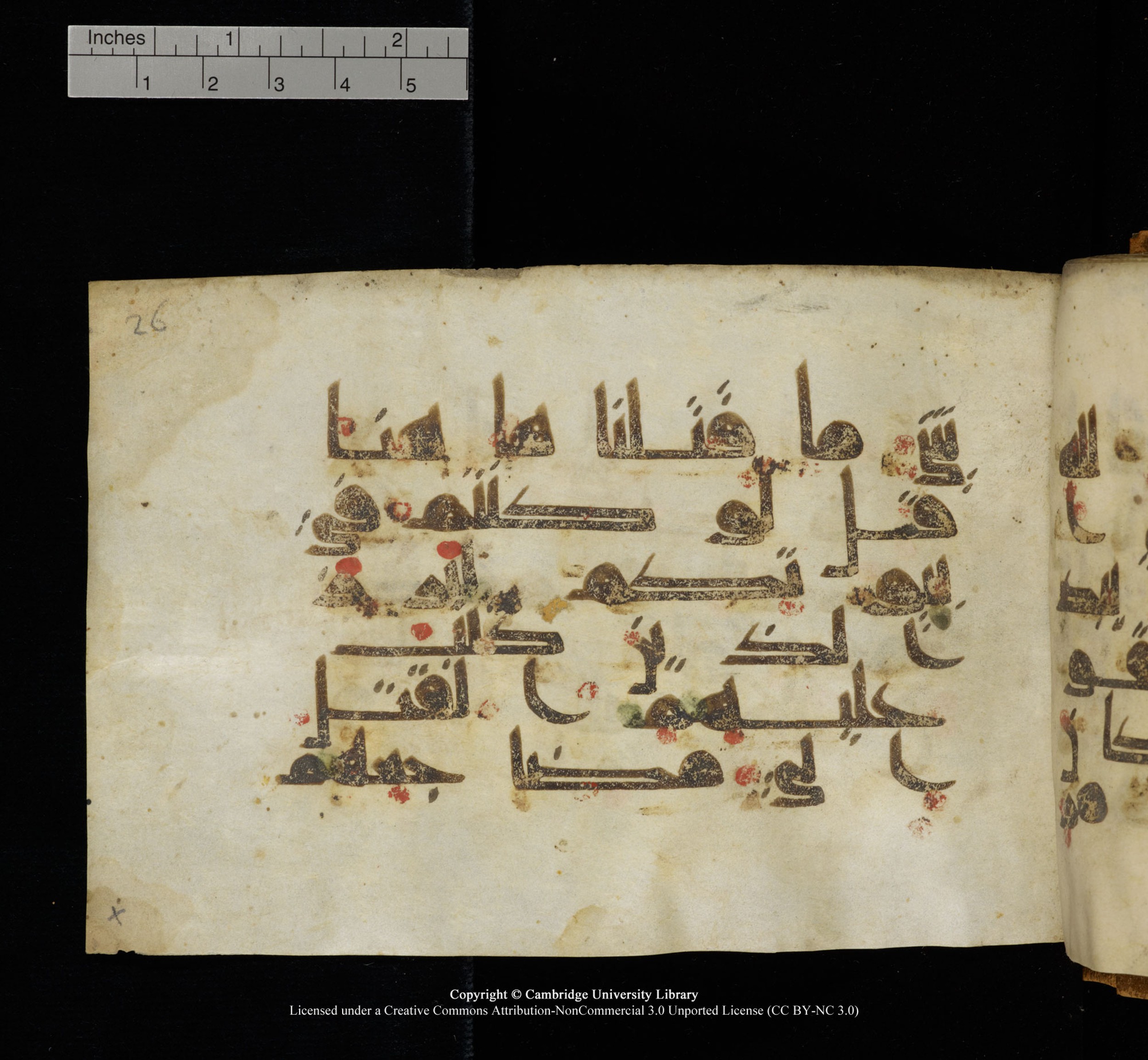Cambridge, Cambridge University Library, MS Add.1117 (Scan 4), in kūfī D II script, showing Surah 3:154 from 9th or 10th Century AD found in Sinai Peninsula, currently housed at Cambridge University Library, Cambridge