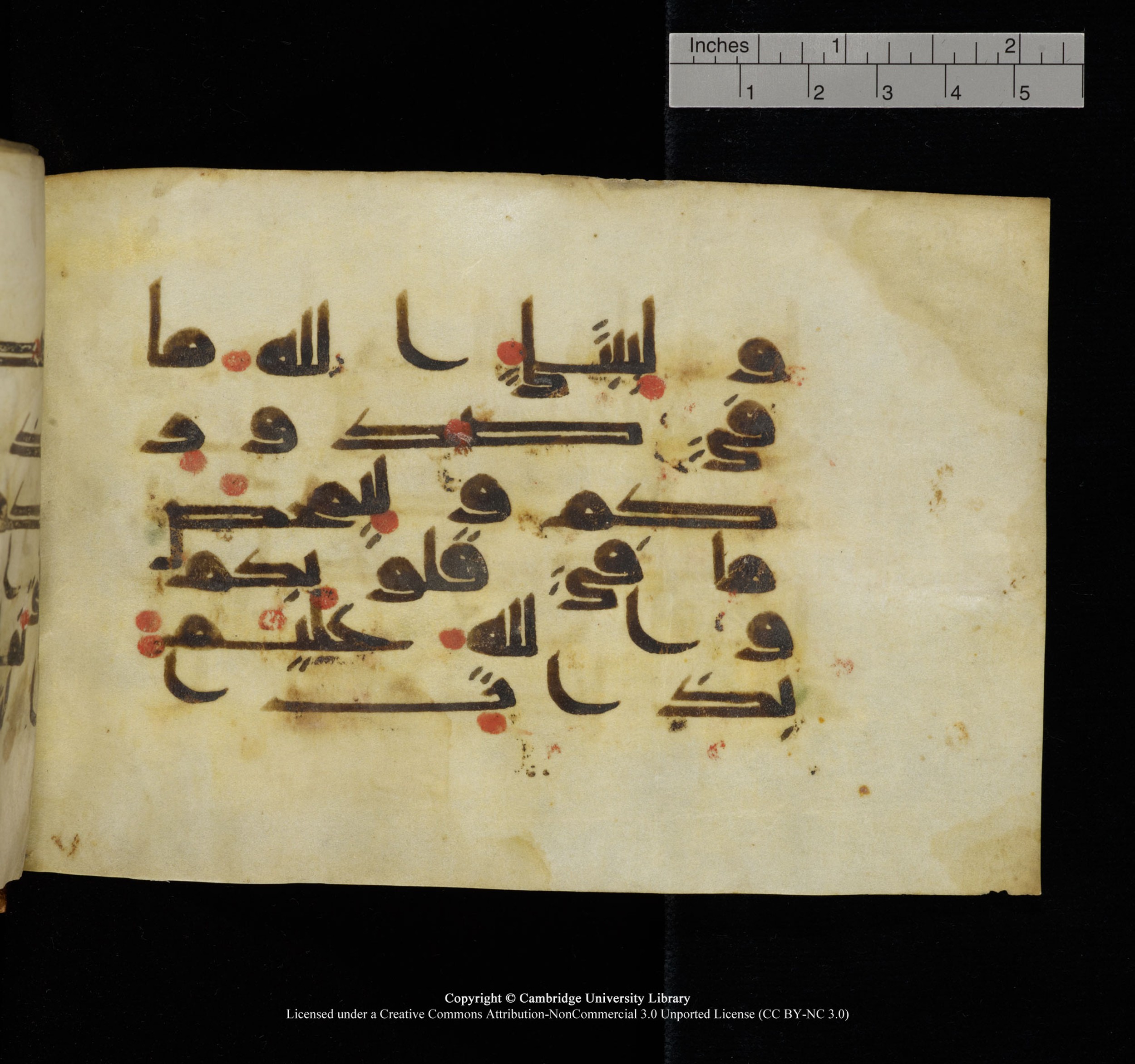 Cambridge, Cambridge University Library, MS Add.1117 (Scan 5), in kūfī D II script, showing Surah 3:154 from 9th or 10th Century AD found in Sinai Peninsula, currently housed at Cambridge University Library, Cambridge