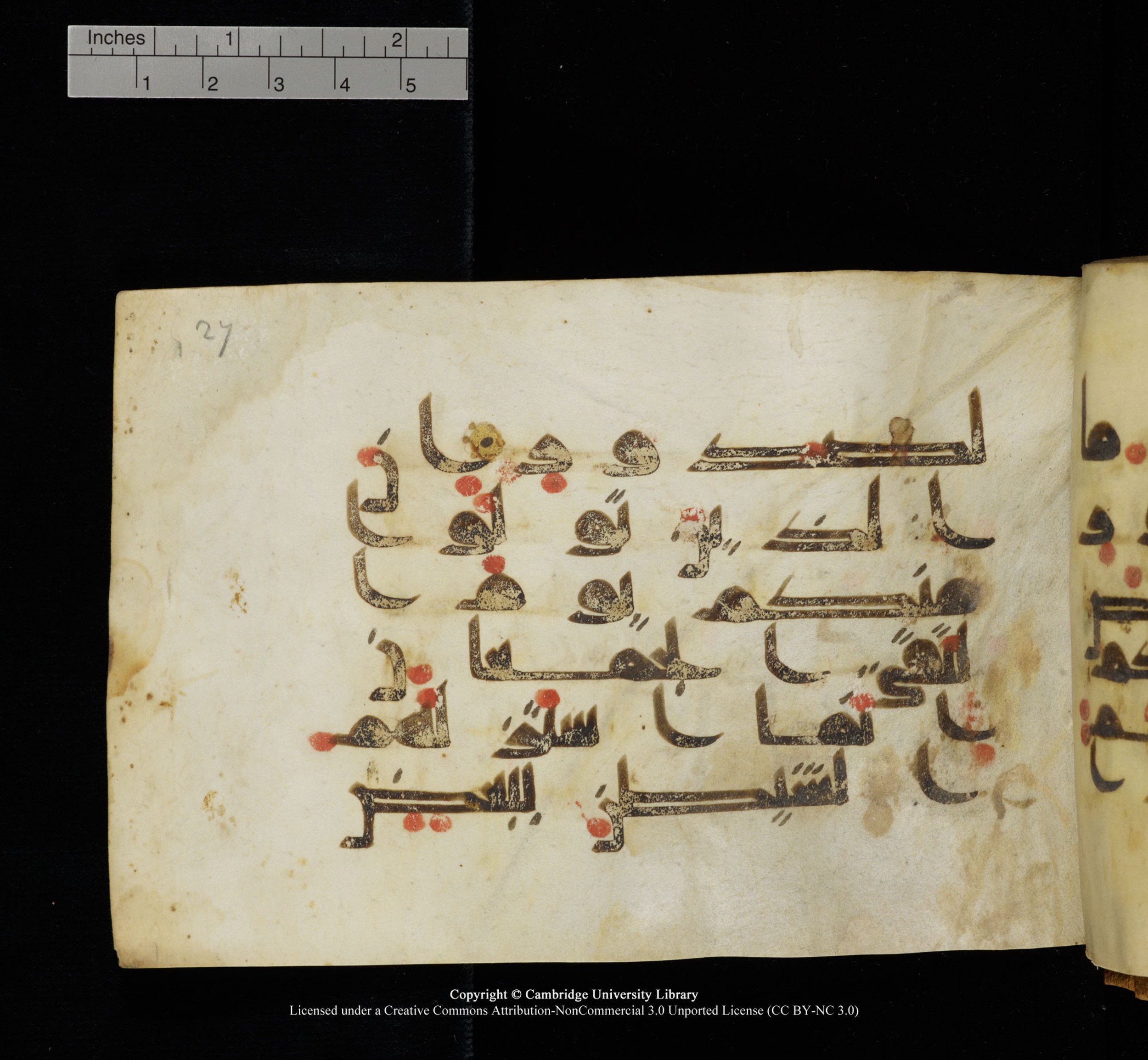 Cambridge, Cambridge University Library, MS Add.1117 (Scan 6), in kūfī D II script, showing Surah 3:154 from 9th or 10th Century AD found in Sinai Peninsula, currently housed at Cambridge University Library, Cambridge