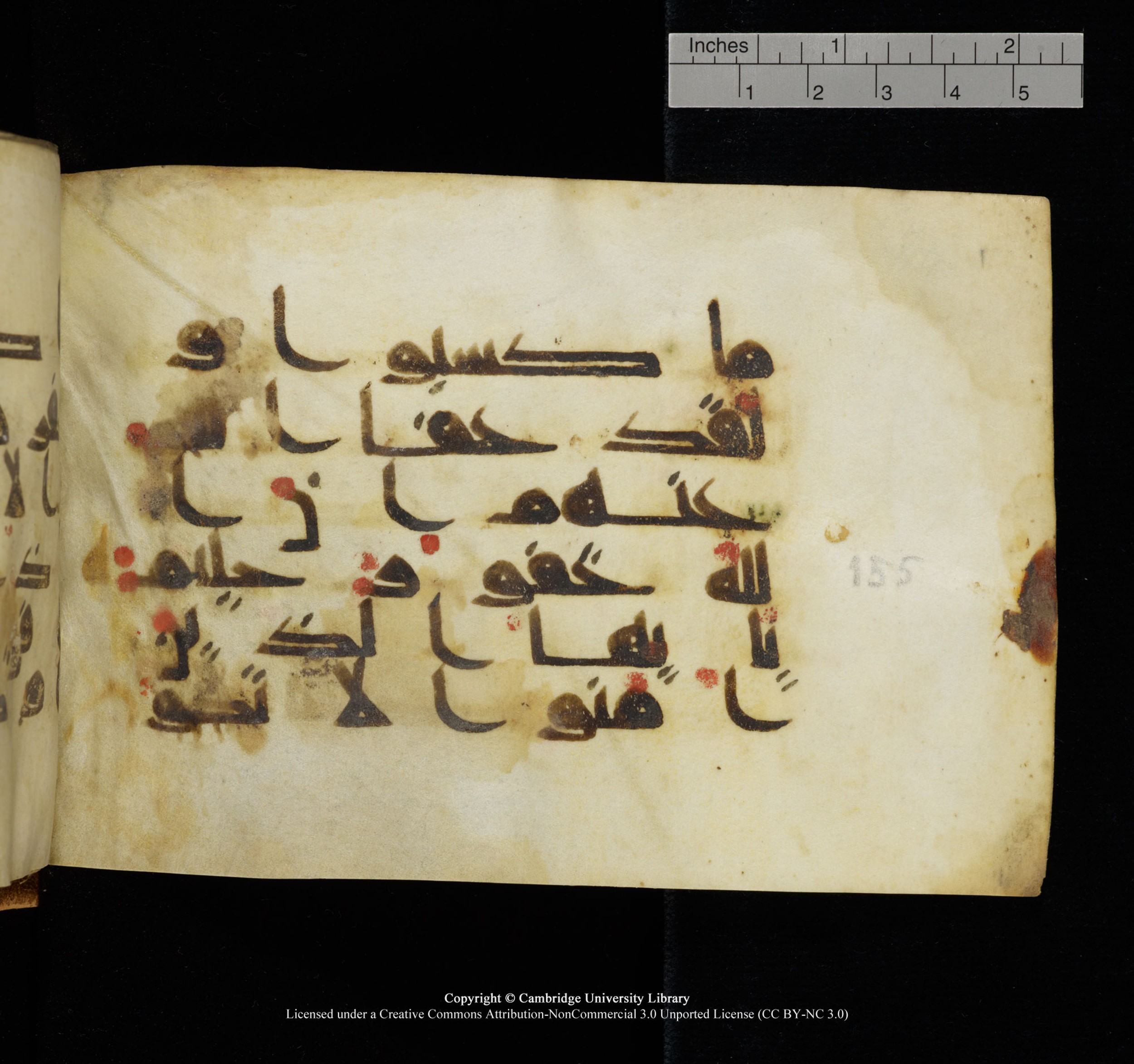Cambridge, Cambridge University Library, MS Add.1117 (Scan 2), in kūfī D II script, showing Surah 3:155 from 9th or 10th Century AD found in Sinai Peninsula, currently housed at Cambridge University Library, Cambridge