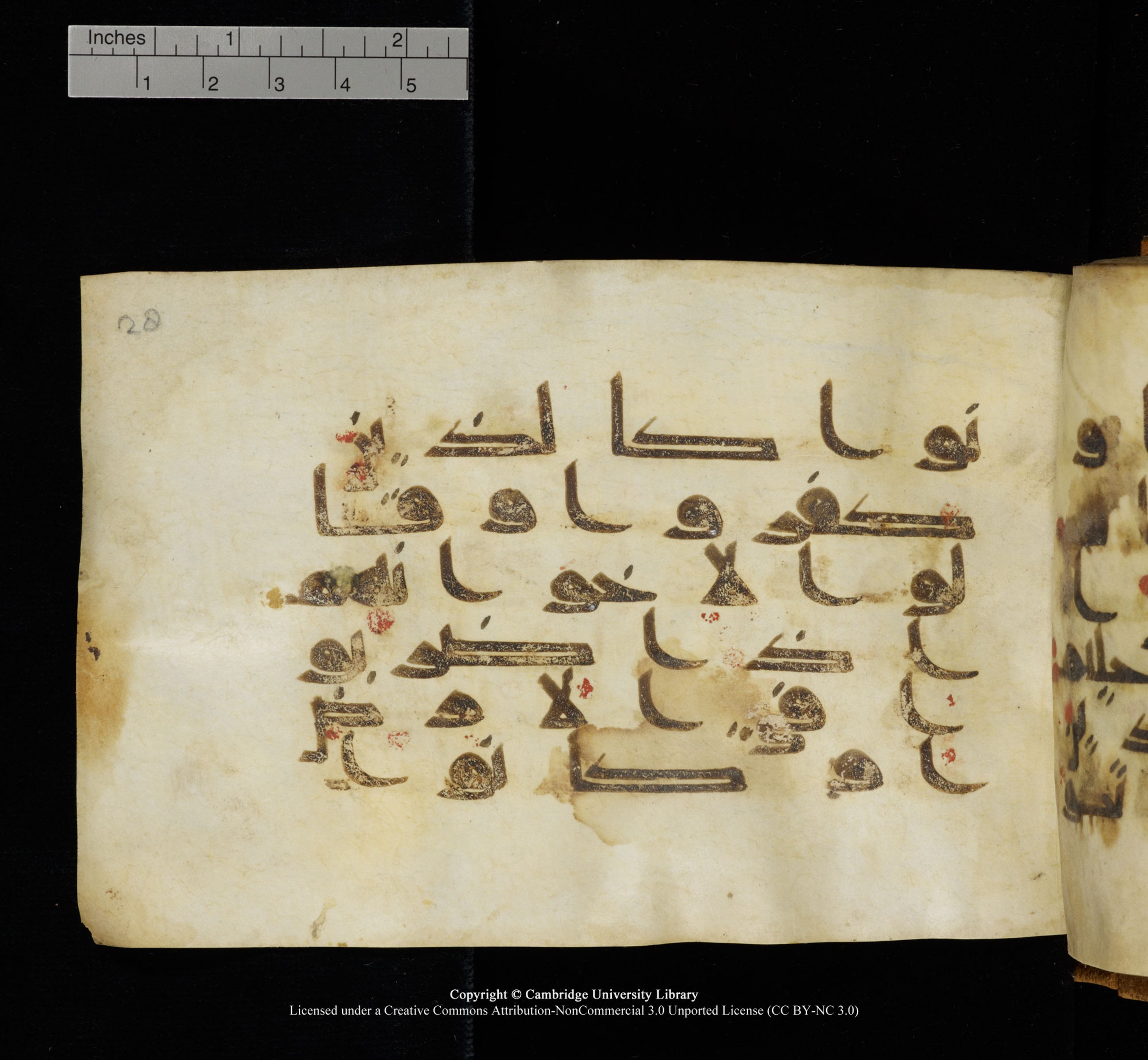 Cambridge, Cambridge University Library, MS Add.1117 (Scan 2), in kūfī D II script, showing Surah 3:156 from 9th or 10th Century AD found in Sinai Peninsula, currently housed at Cambridge University Library, Cambridge