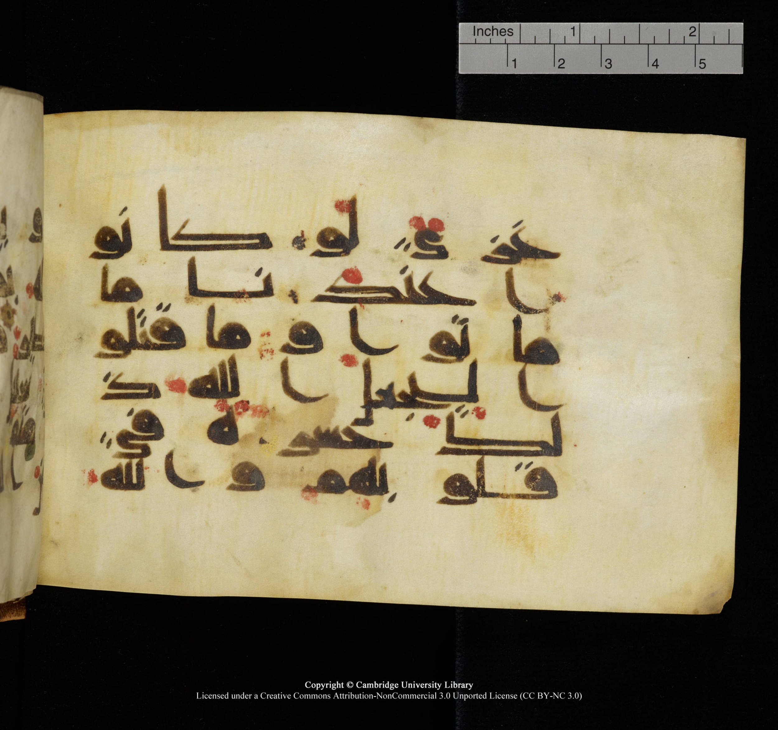 Cambridge, Cambridge University Library, MS Add.1117 (Scan 3), in kūfī D II script, showing Surah 3:156 from 9th or 10th Century AD found in Sinai Peninsula, currently housed at Cambridge University Library, Cambridge