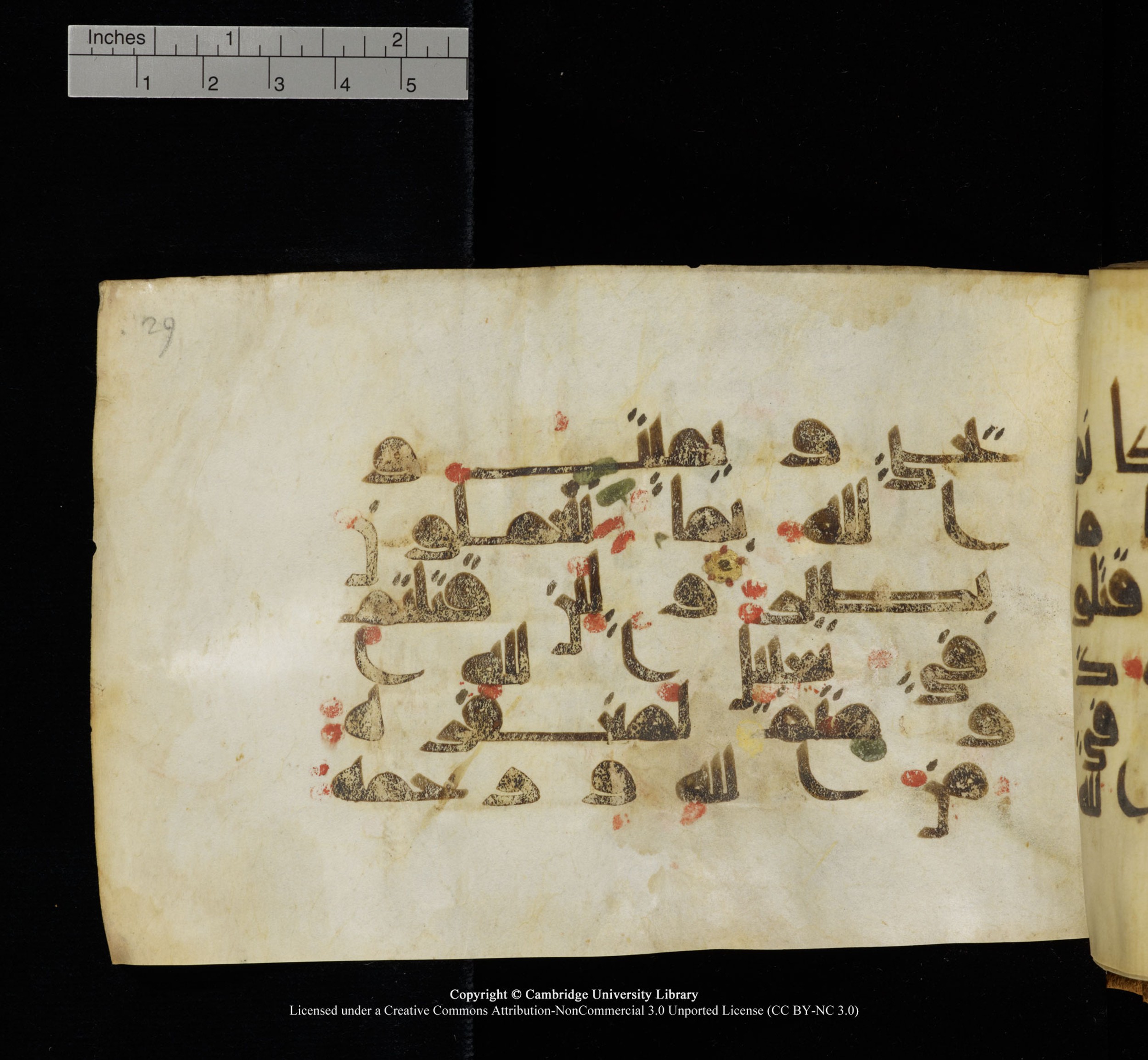 Cambridge, Cambridge University Library, MS Add.1117 (Scan 1), in kūfī D II script, showing Surah 3:157 from 9th or 10th Century AD found in Sinai Peninsula, currently housed at Cambridge University Library, Cambridge