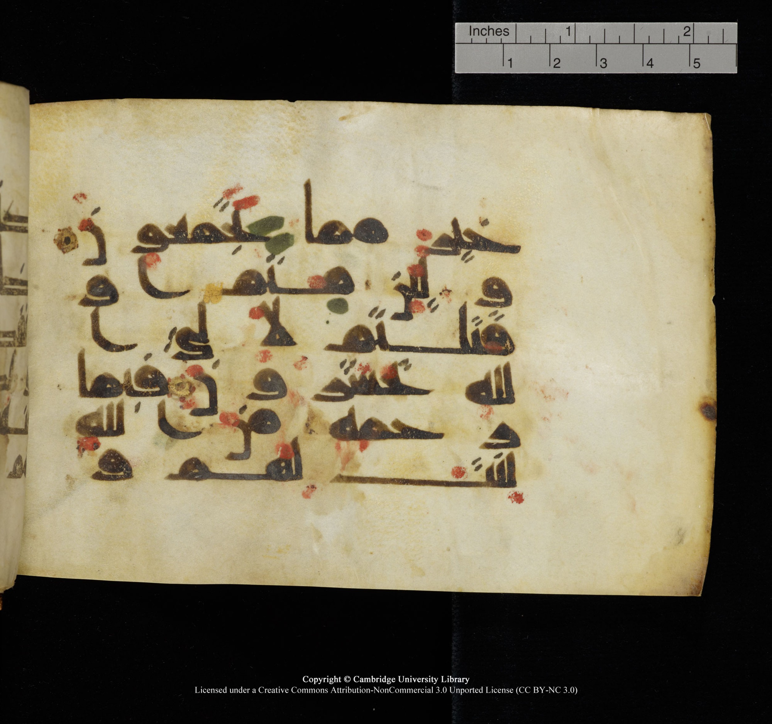 Cambridge, Cambridge University Library, MS Add.1117 (Scan 1), in kūfī D II script, showing Surah 3:159 from 9th or 10th Century AD found in Sinai Peninsula, currently housed at Cambridge University Library, Cambridge