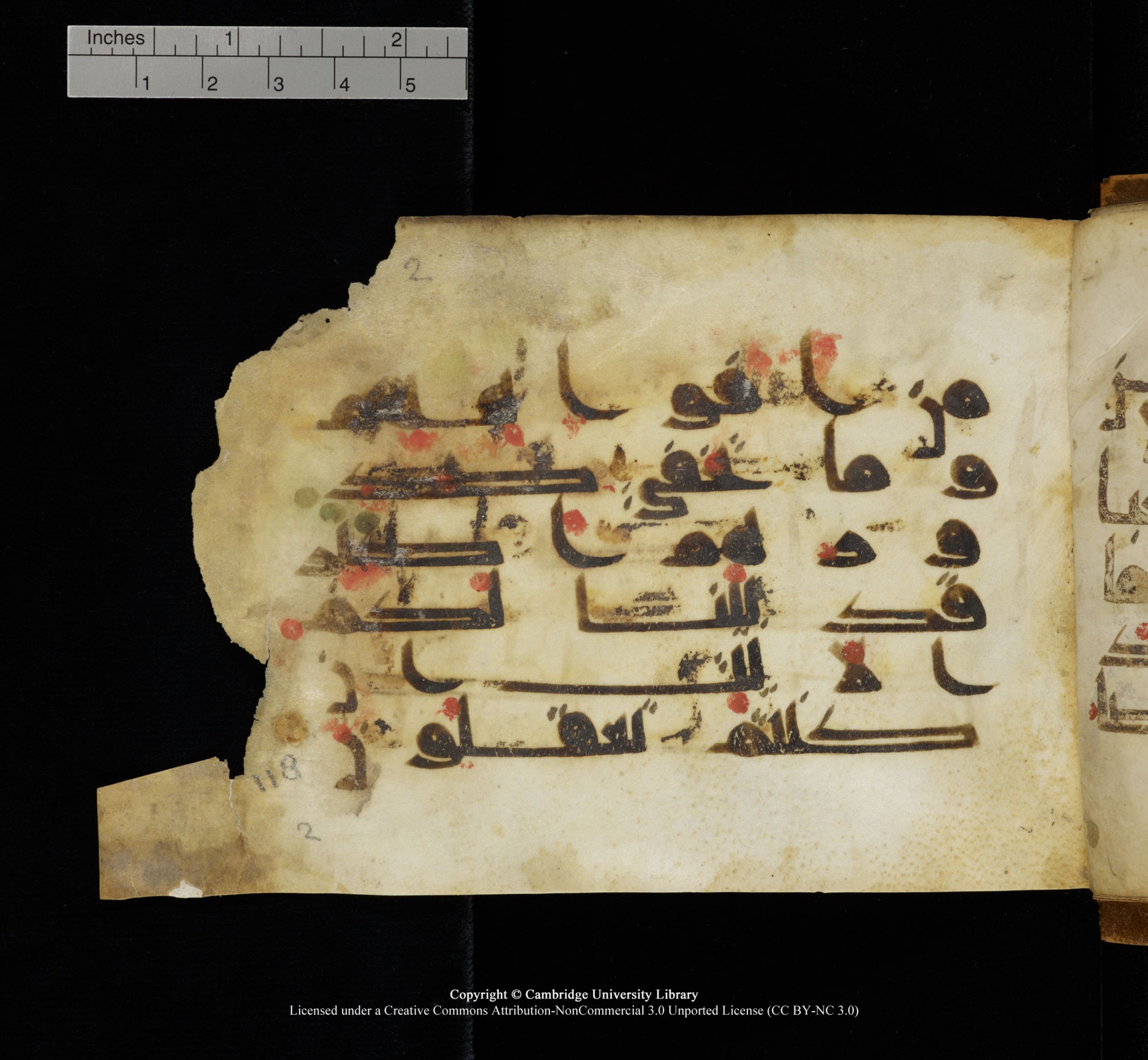 Cambridge, Cambridge University Library, MS Add.1117 (Scan 3), in kūfī D II script, showing Surah 3:118 from 9th or 10th Century AD found in Sinai Peninsula, currently housed at Cambridge University Library, Cambridge