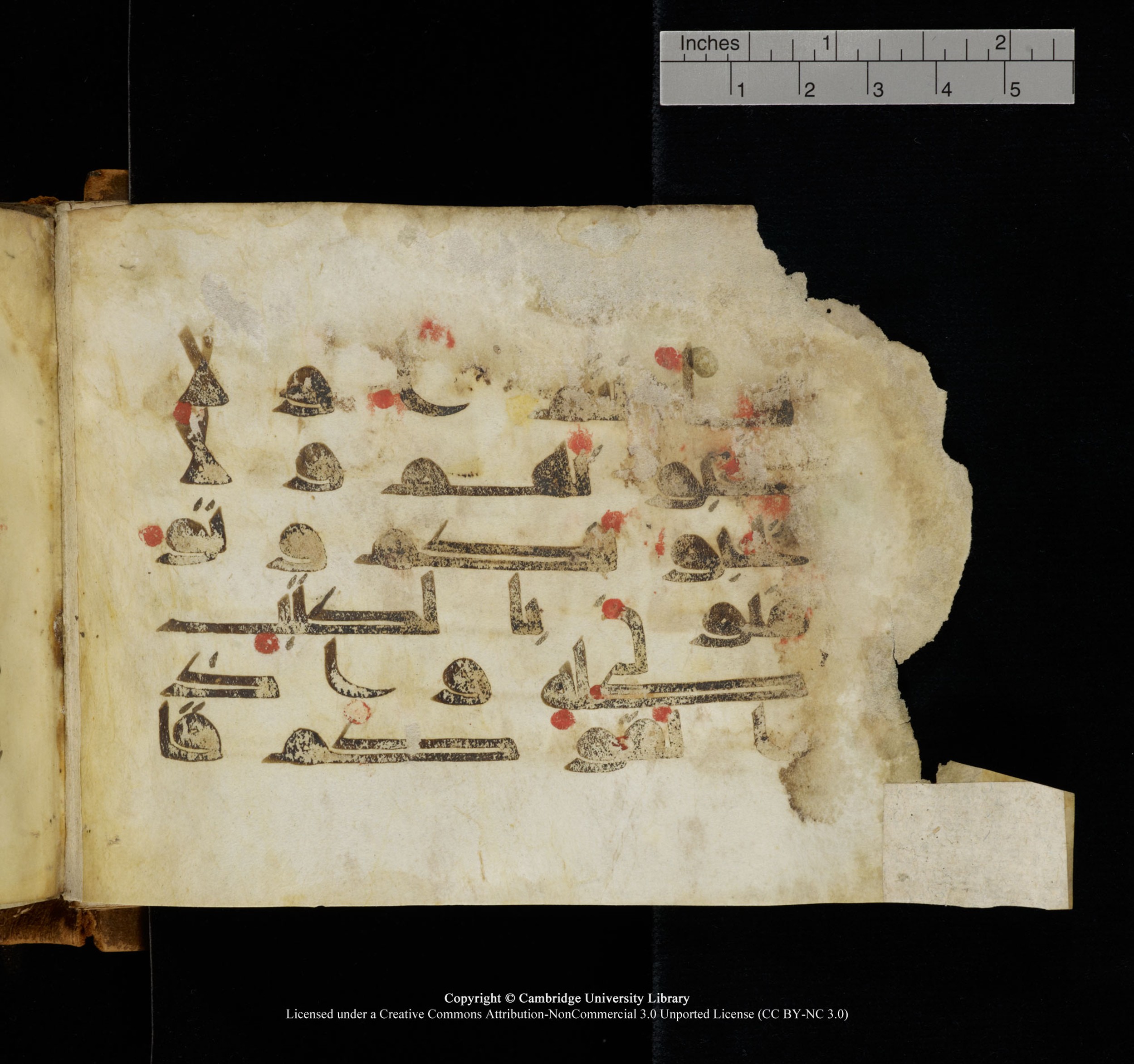 Cambridge, Cambridge University Library, MS Add.1117 (Scan 1), in kūfī D II script, showing Surah 3:119 from 9th or 10th Century AD found in Sinai Peninsula, currently housed at Cambridge University Library, Cambridge