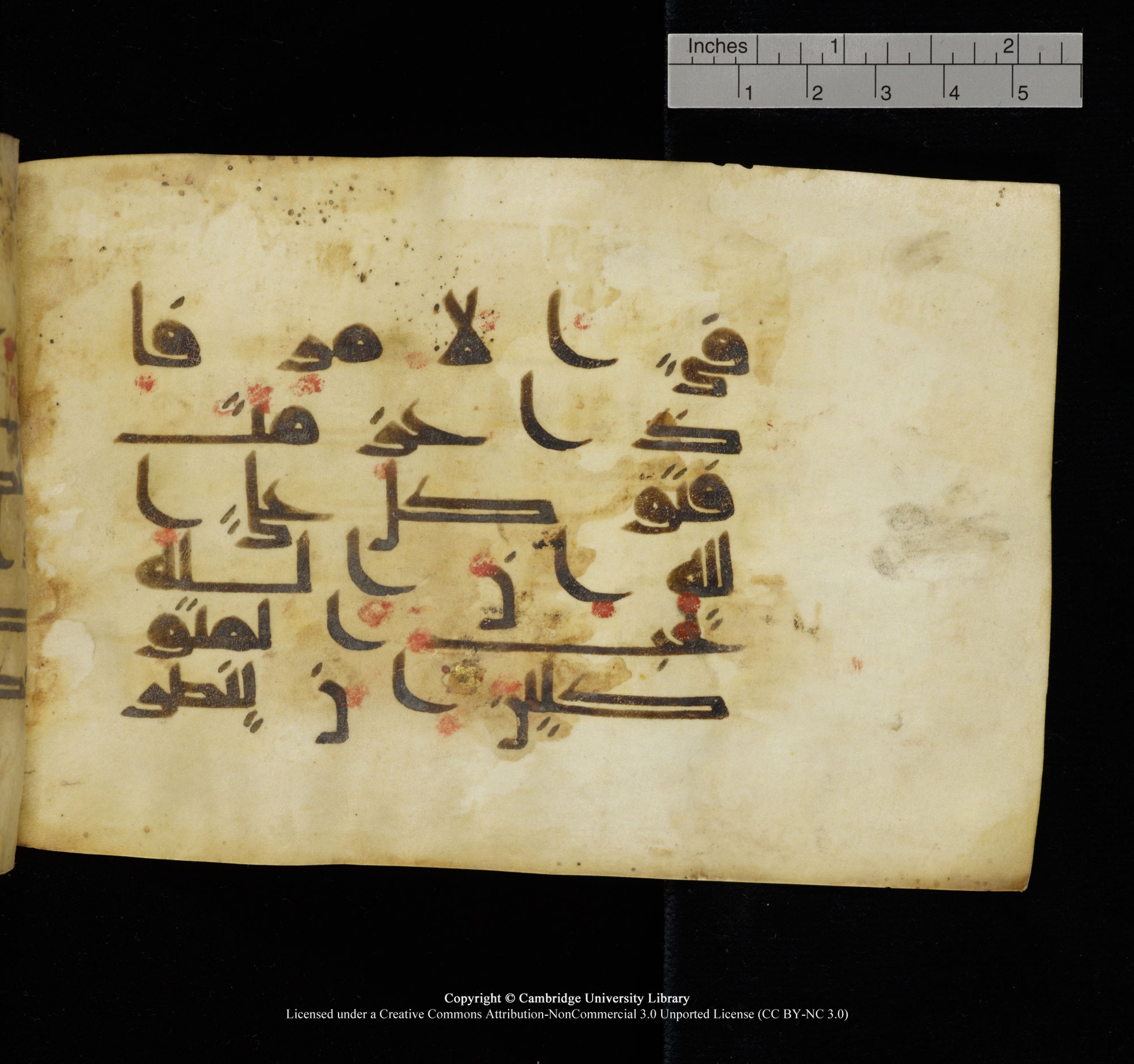 Cambridge, Cambridge University Library, MS Add.1117 (Scan 3), in kūfī D II script, showing Surah 3:159 from 9th or 10th Century AD found in Sinai Peninsula, currently housed at Cambridge University Library, Cambridge