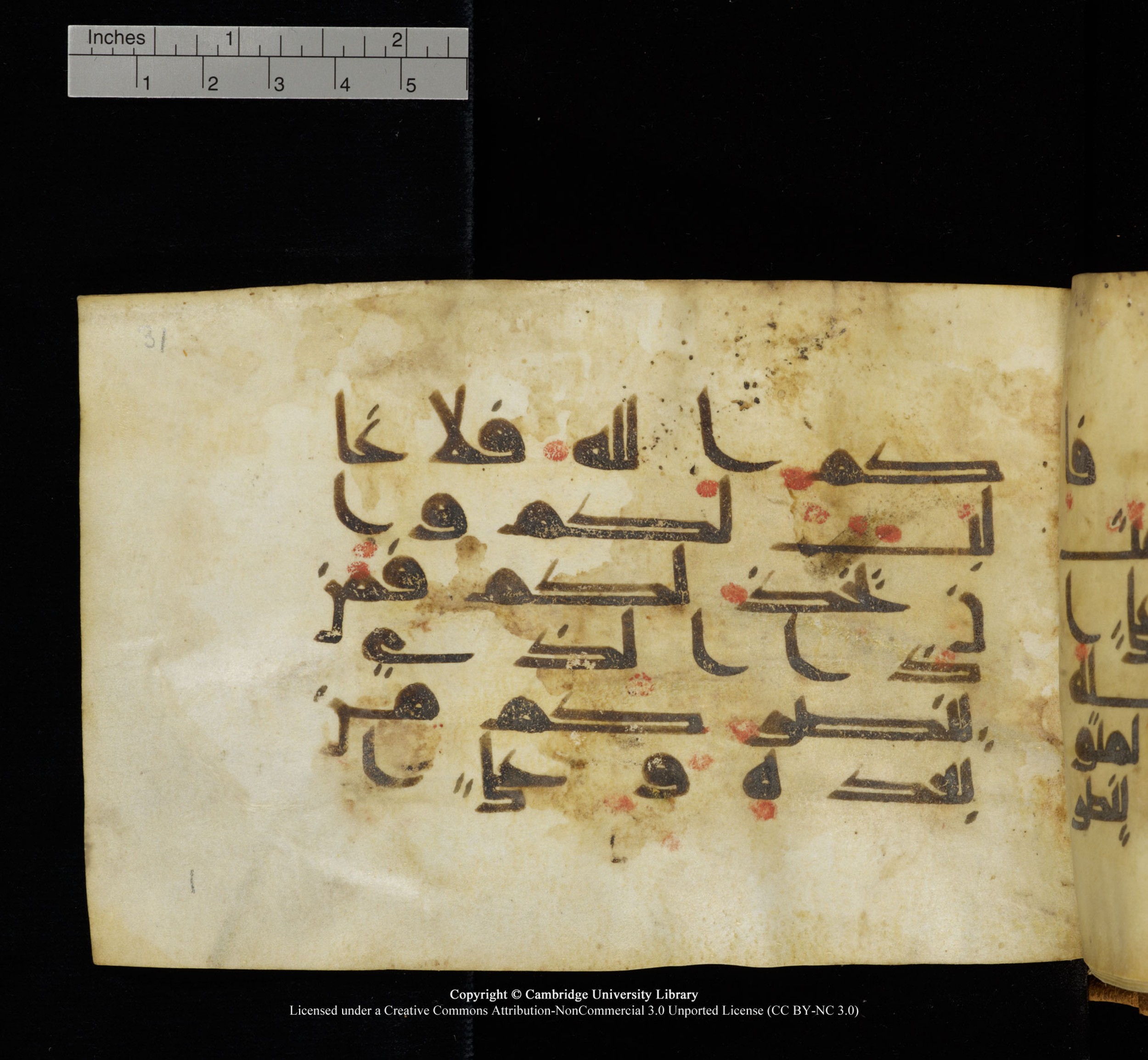 Cambridge, Cambridge University Library, MS Add.1117 (Scan 2), in kūfī D II script, showing Surah 3:160 from 9th or 10th Century AD found in Sinai Peninsula, currently housed at Cambridge University Library, Cambridge