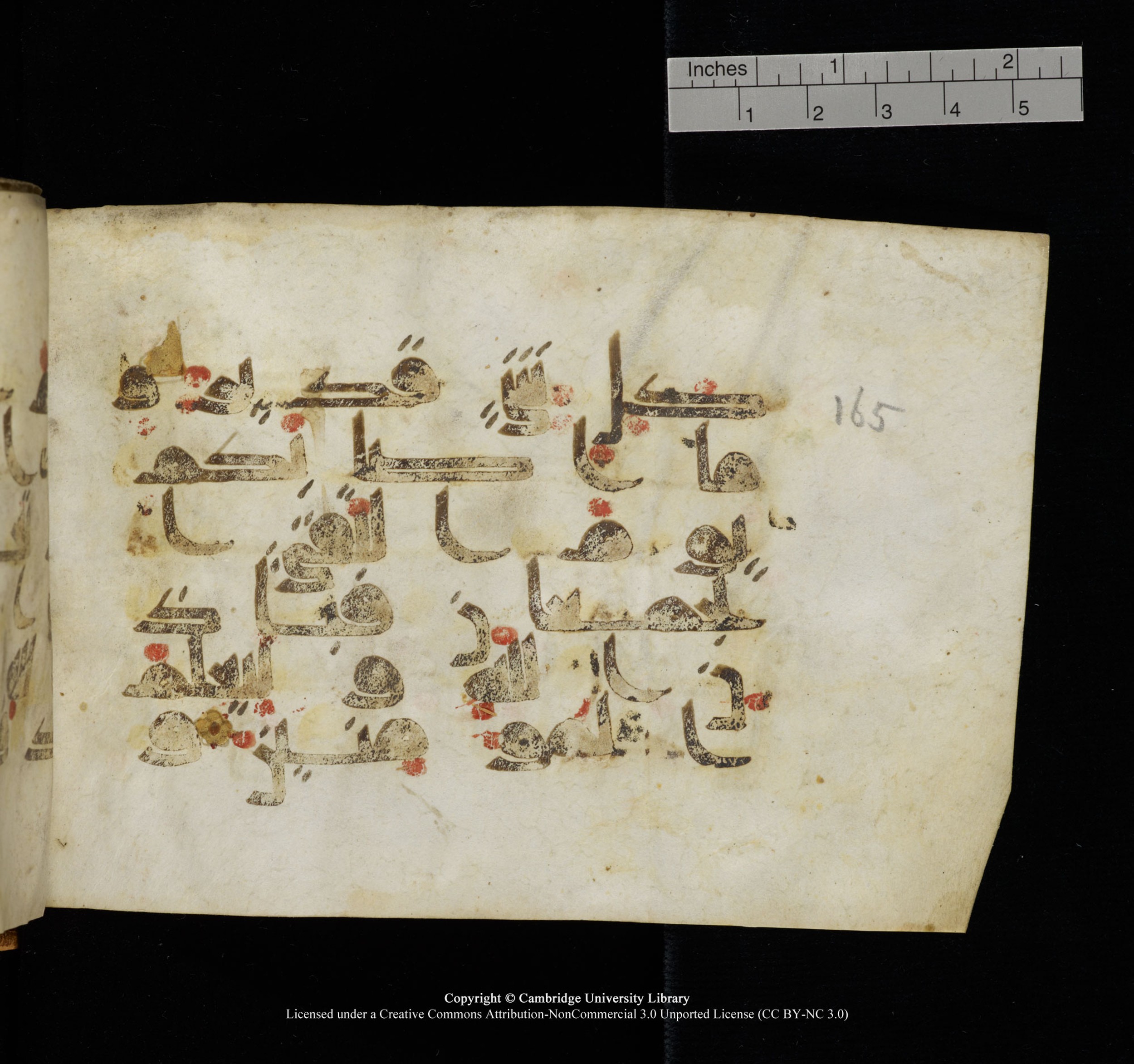 Cambridge, Cambridge University Library, MS Add.1117, in kūfī D II script, showing Surah 3:166 from 9th or 10th Century AD found in Sinai Peninsula, currently housed at Cambridge University Library, Cambridge