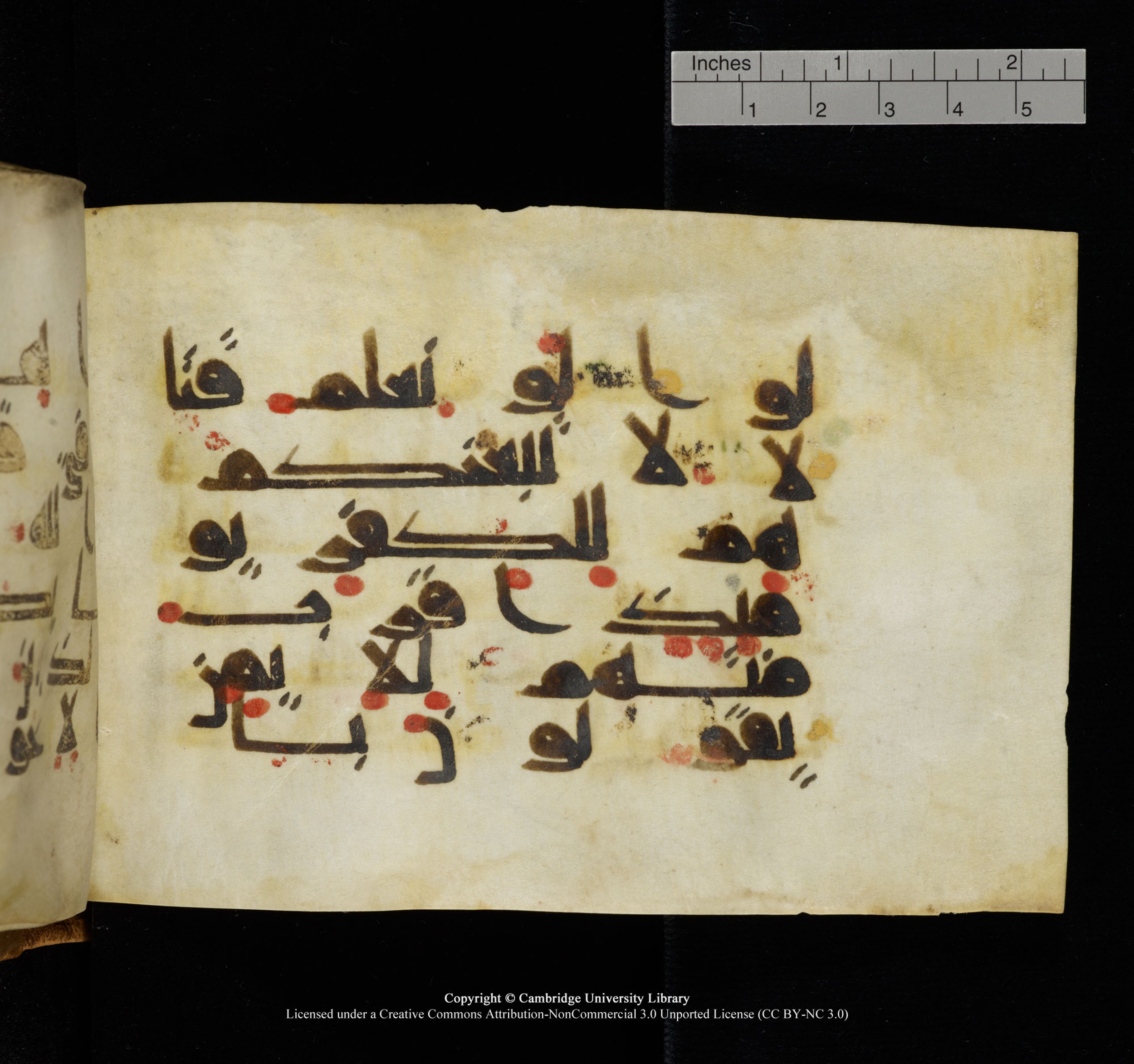 Cambridge, Cambridge University Library, MS Add.1117 (Scan 3), in kūfī D II script, showing Surah 3:167 from 9th or 10th Century AD found in Sinai Peninsula, currently housed at Cambridge University Library, Cambridge
